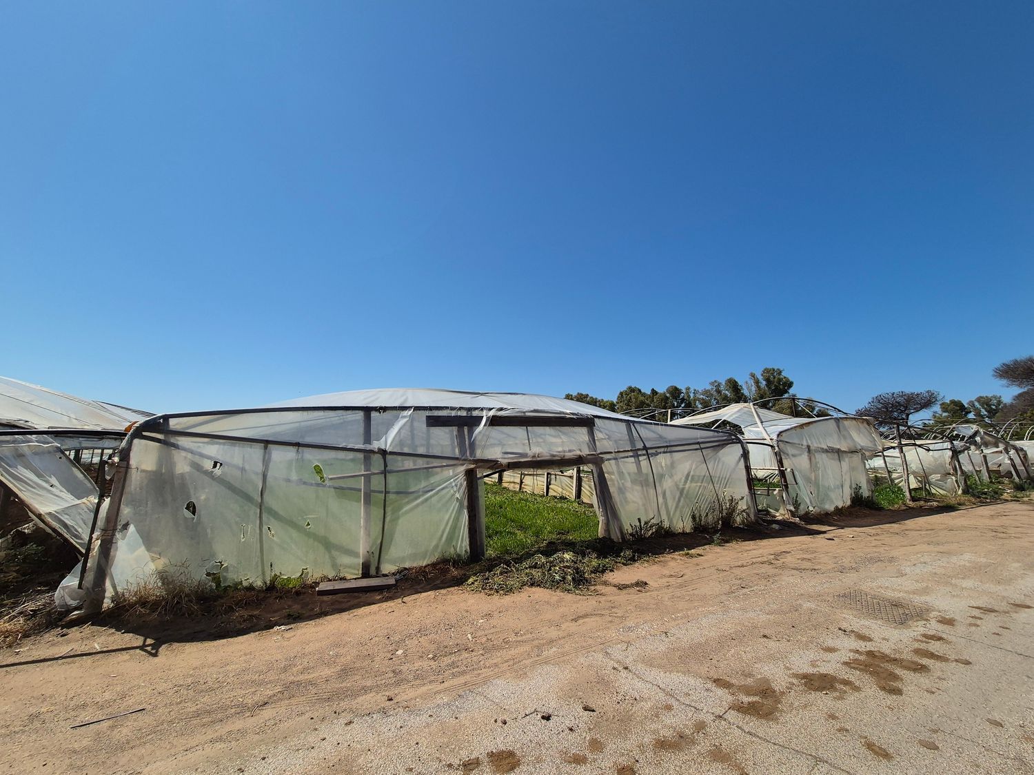 Terreno in affitto in via stanislao lista 0, Roma