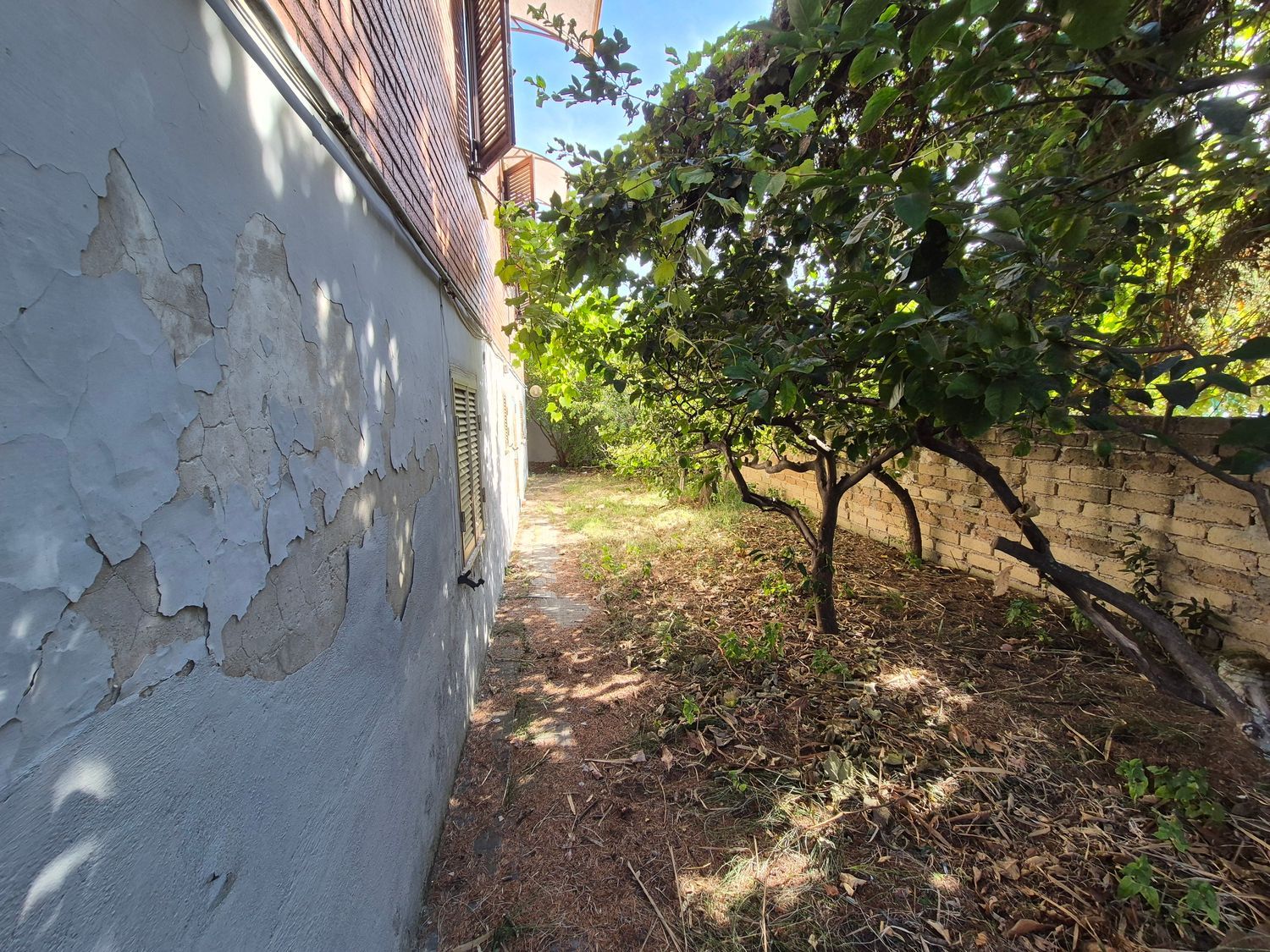 Villa in vendita in via e casagrande di villaviera 0, Fiumicino