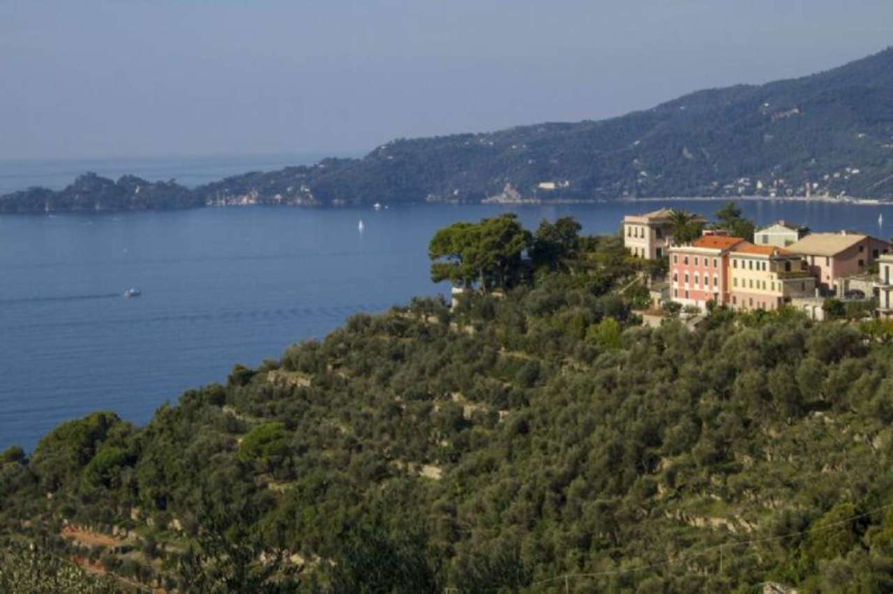 Stabile - Palazzo in vendita a Zoagli, 150 Metri Dalla Stazione Ferroviaria