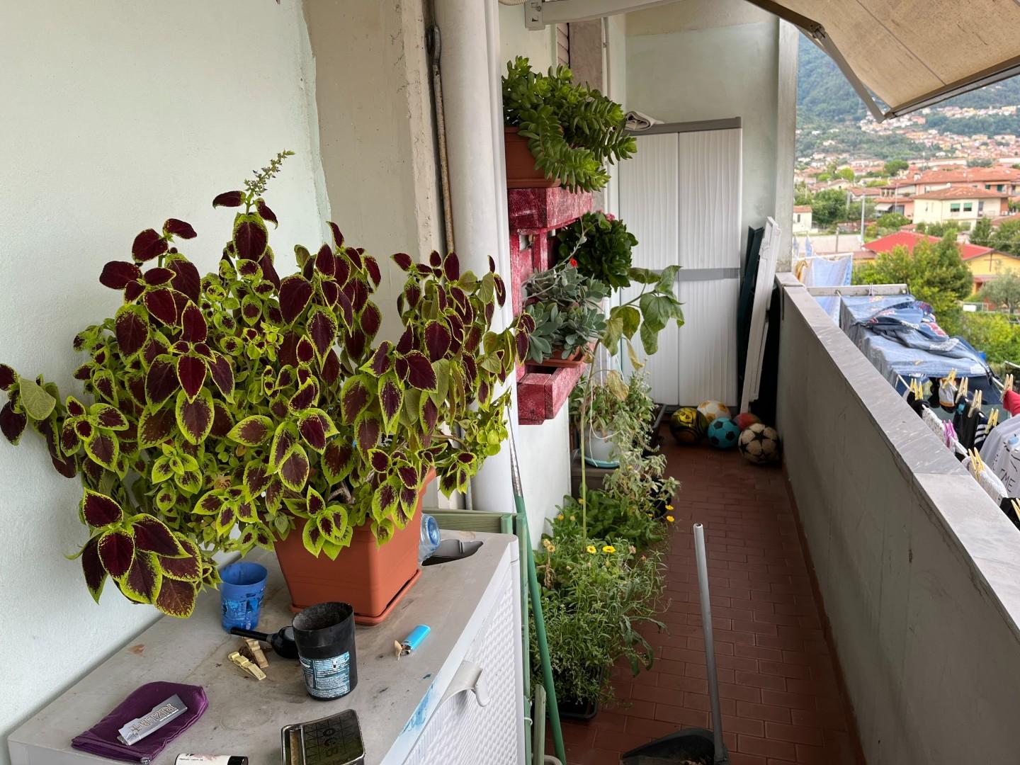 Appartamento in vendita, Massa romagnano