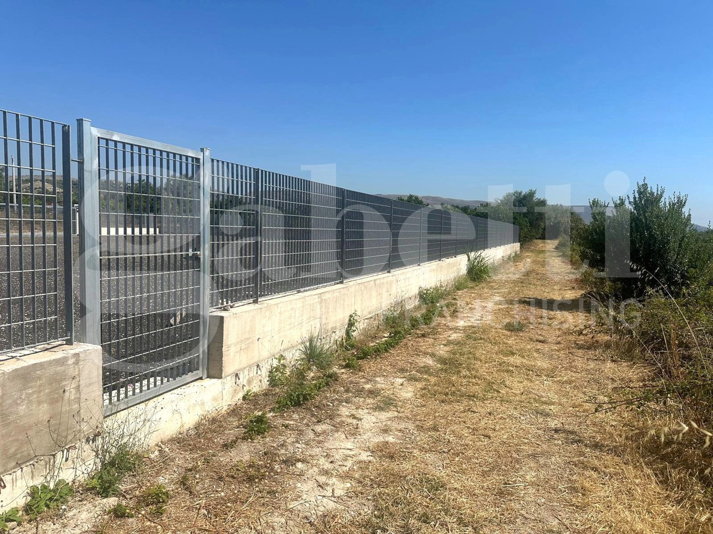 Terreno Agricolo in affitto a Avola