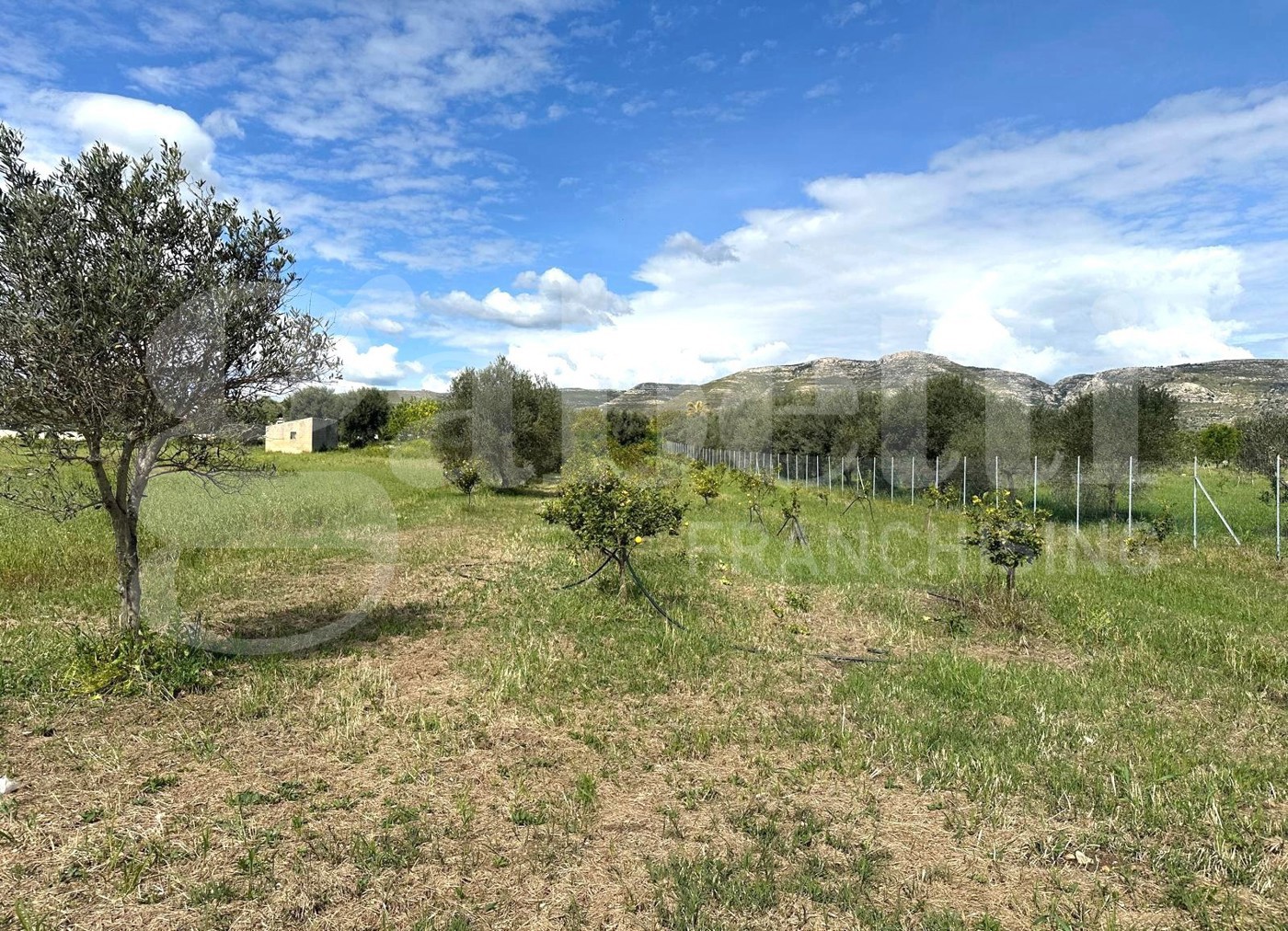 immagine annuncio 8 di 10