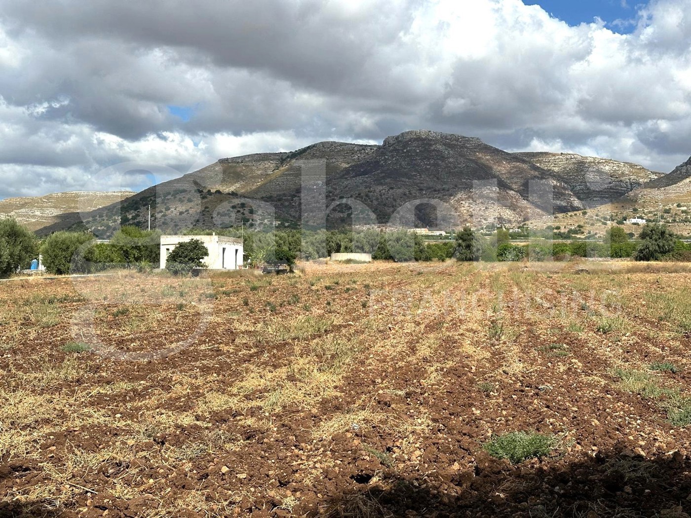 Casa indipendente con giardino a Avola