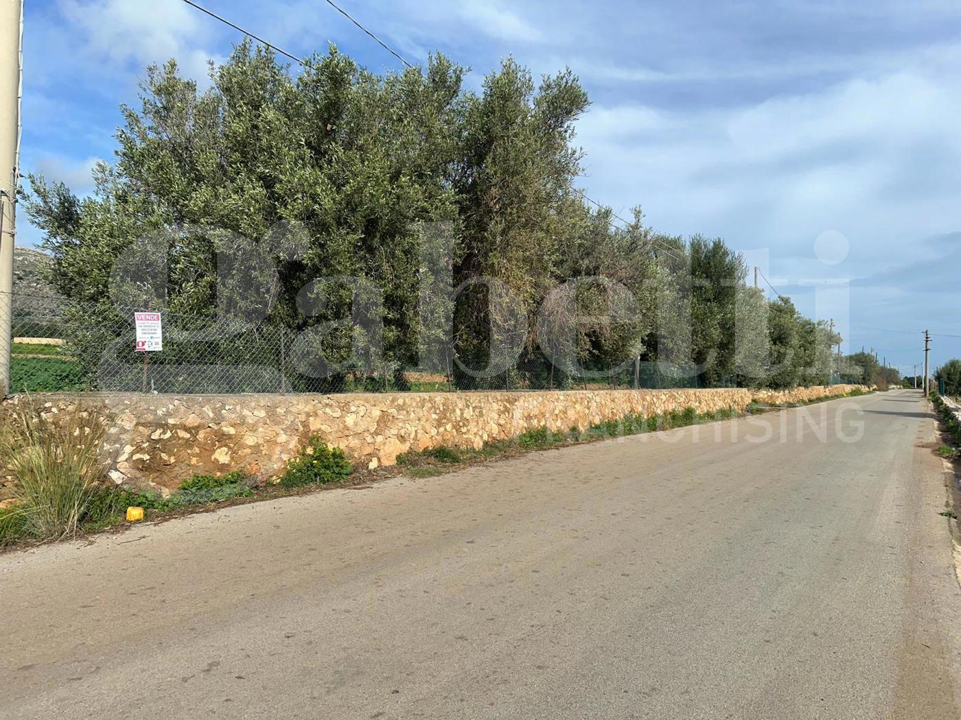 Casa indipendente con giardino a Avola