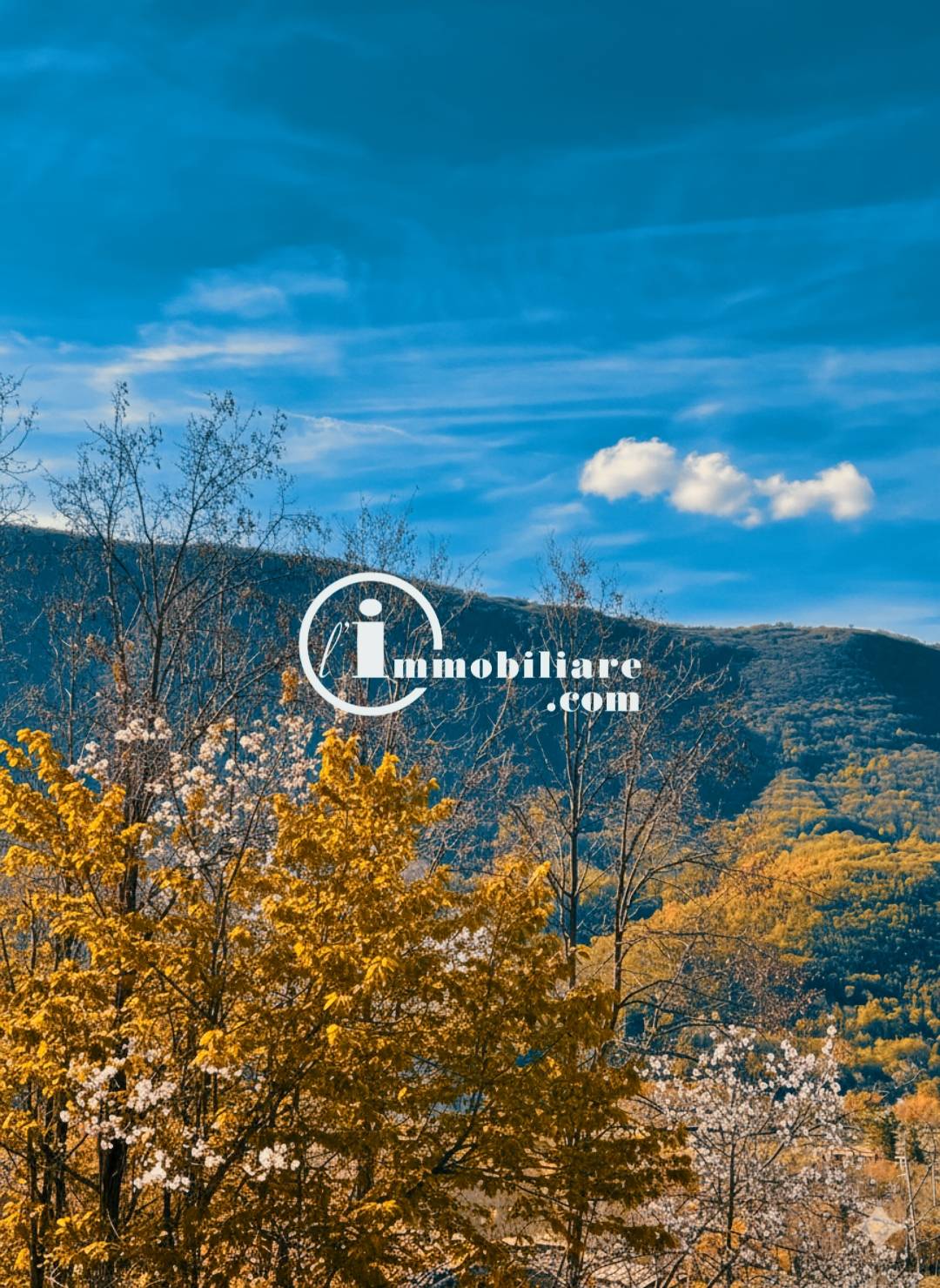 Villa Singola in vendita a Arcinazzo Romano, Altipiani di Arcinazzo