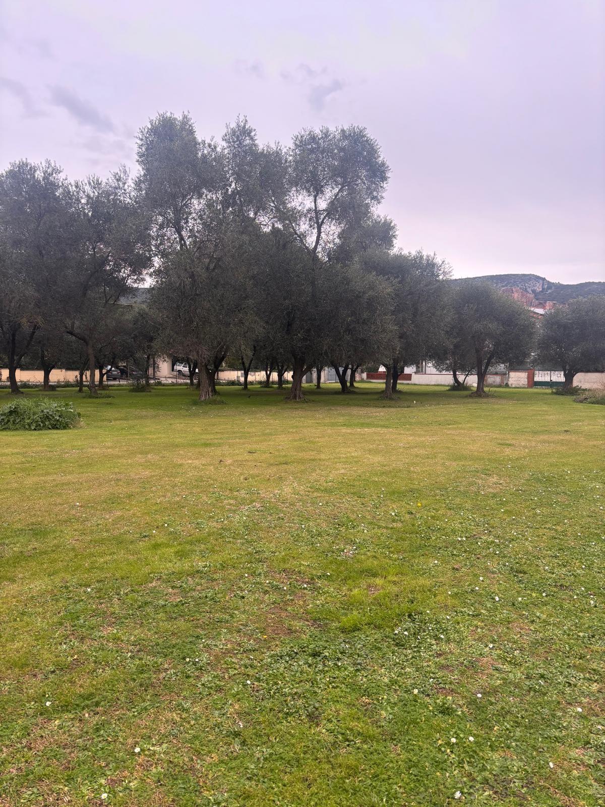 Villa con giardino a Vecchiano