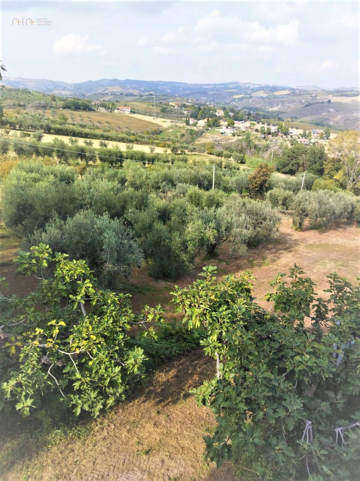 immagine annuncio 2 di 6