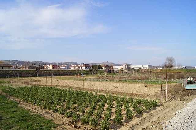 Terreno Edificabile Residenziale in vendita a Monteprandone, Centobuchi