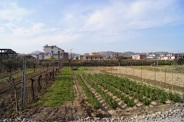 Terreno Edificabile Residenziale in vendita a Monteprandone, Centobuchi
