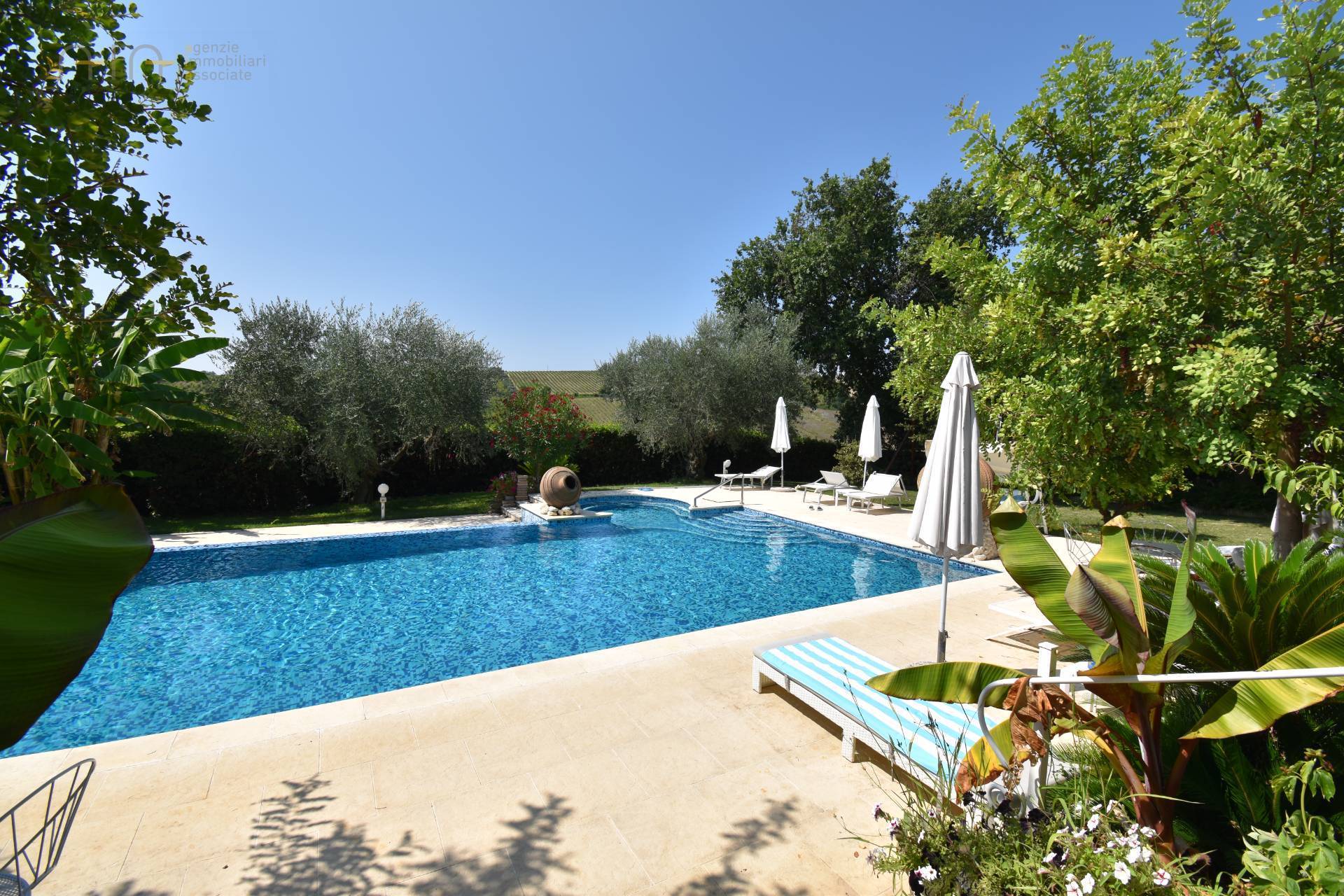 Casale Colonico Rustico in vendita a Colonnella, Collinare