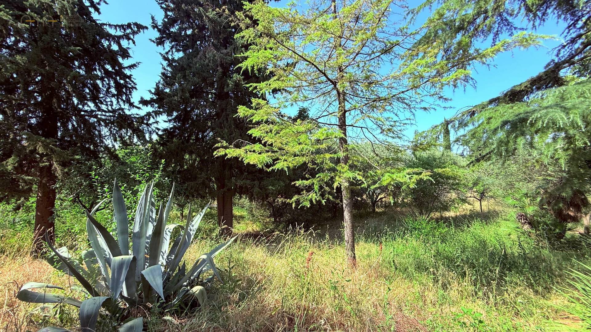 Villino a schiera / bifamiliare in vendita a Ascoli Piceno, Marino del Tronto
