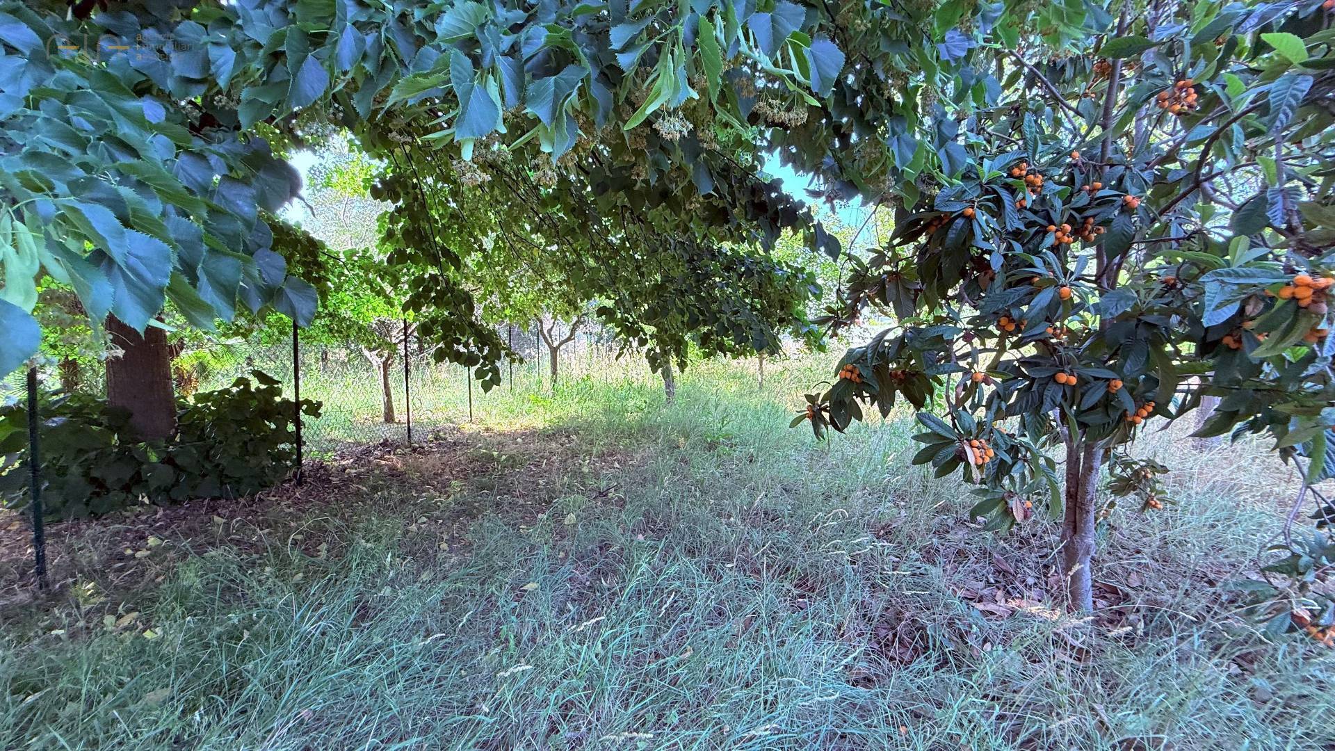 Villino a schiera / bifamiliare in vendita a Ascoli Piceno, Marino del Tronto