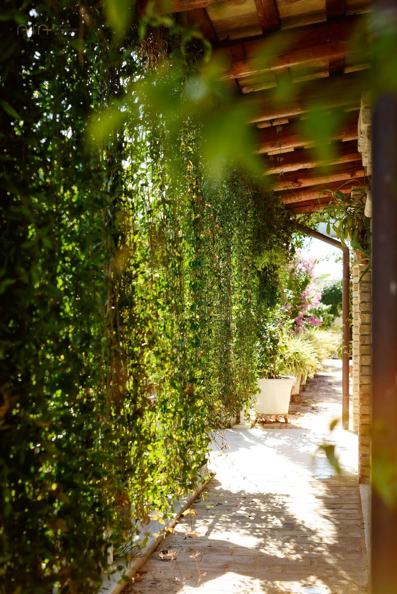 Casale Colonico Rustico in vendita a Colonnella, Collinare