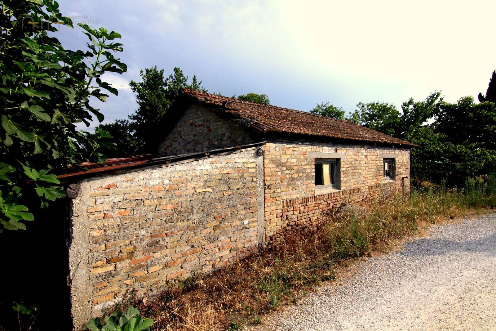 immagine annuncio 4 di 9