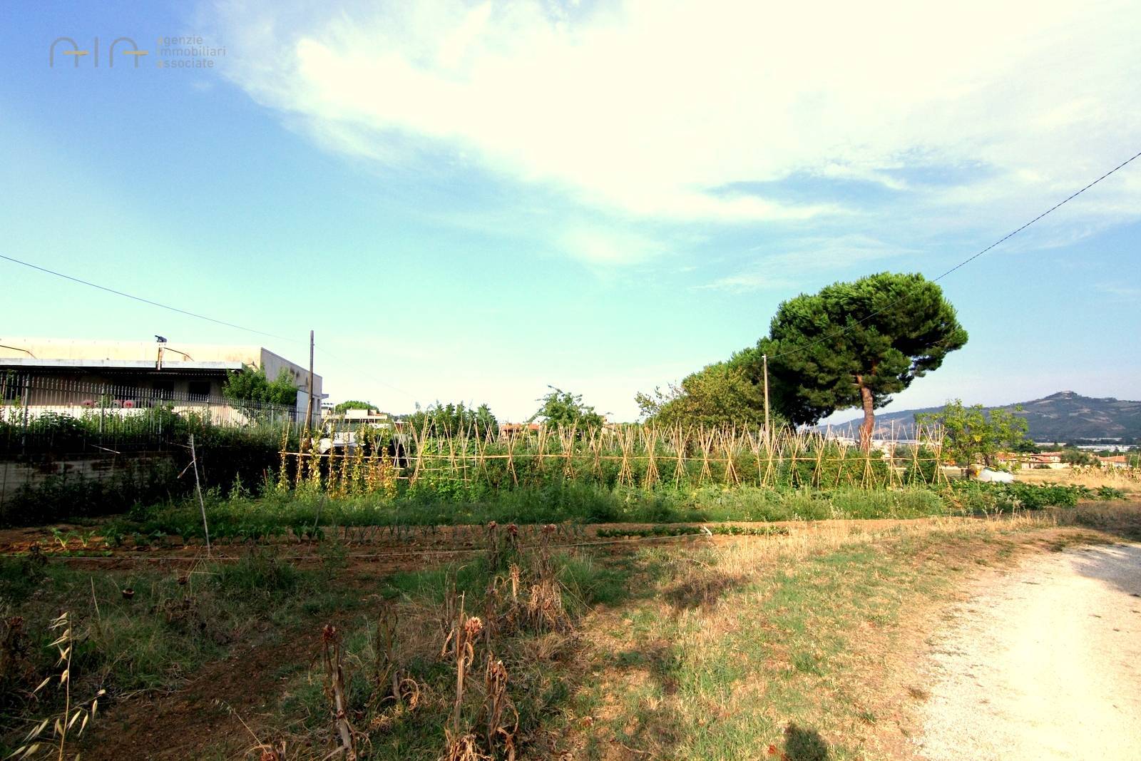 immagine annuncio 7 di 9