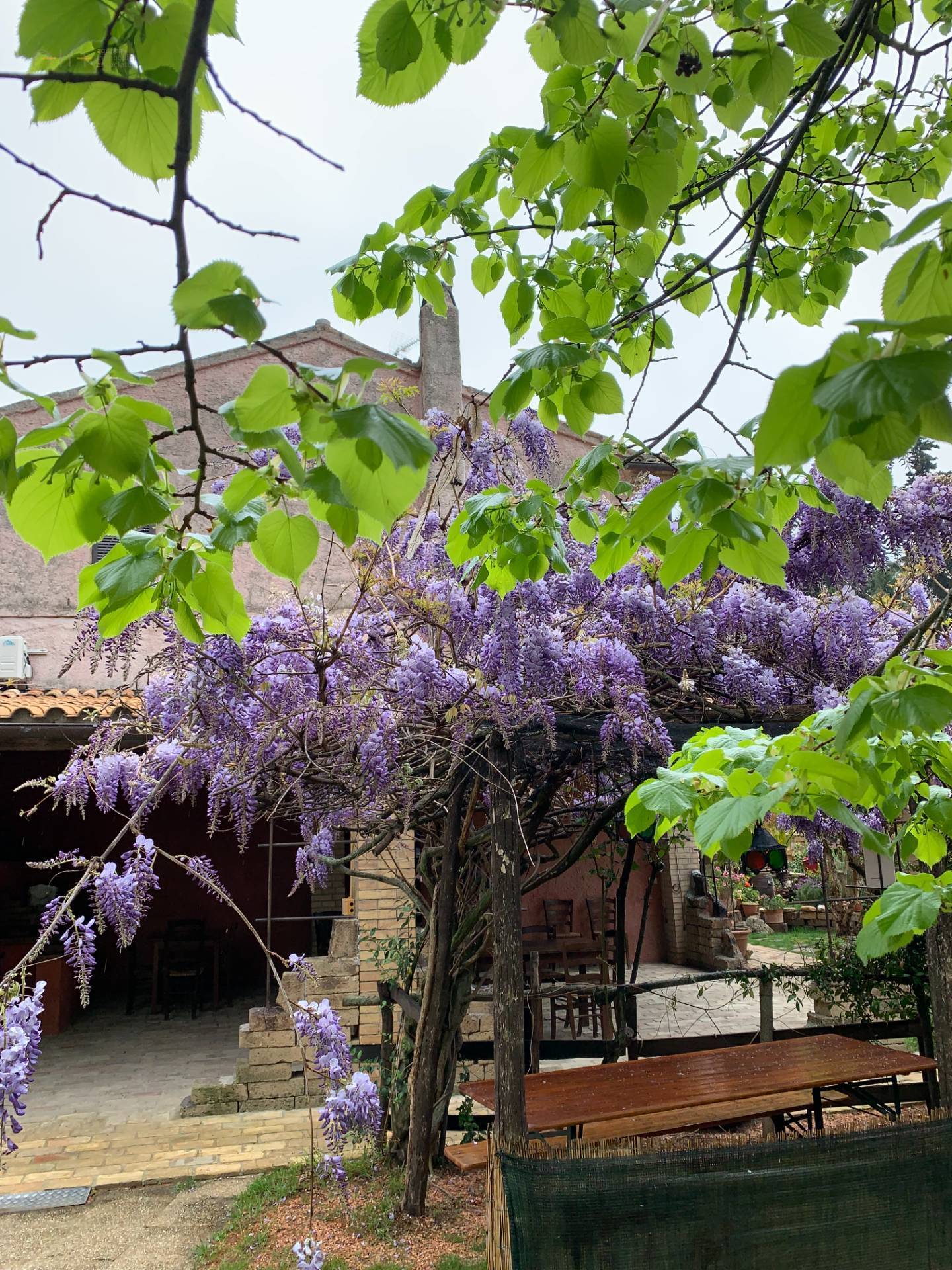 Casale Colonico Rustico in vendita a Ripatransone, San Savino