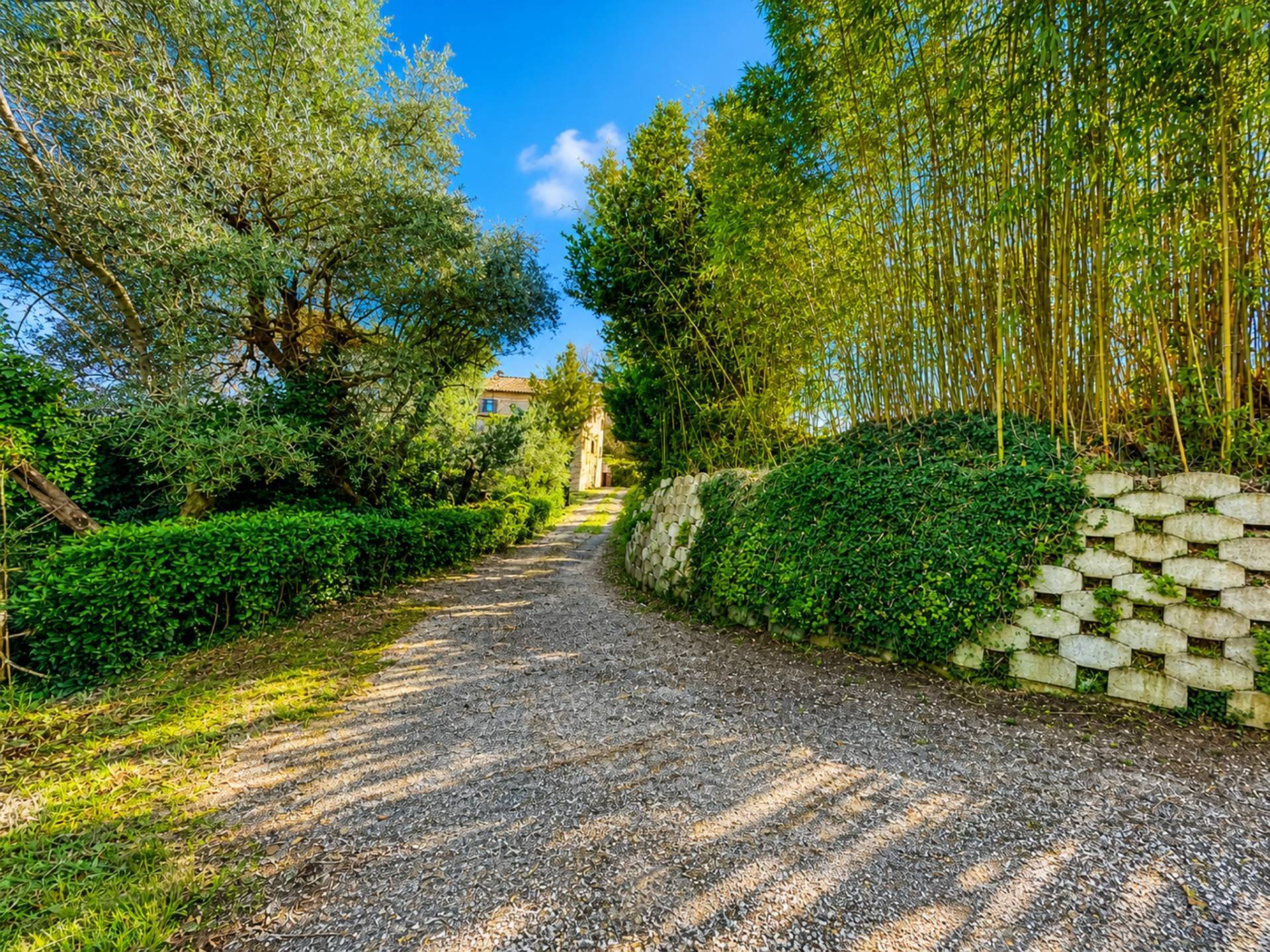 Casale Colonico Rustico in vendita a Belmonte Piceno, Collinare