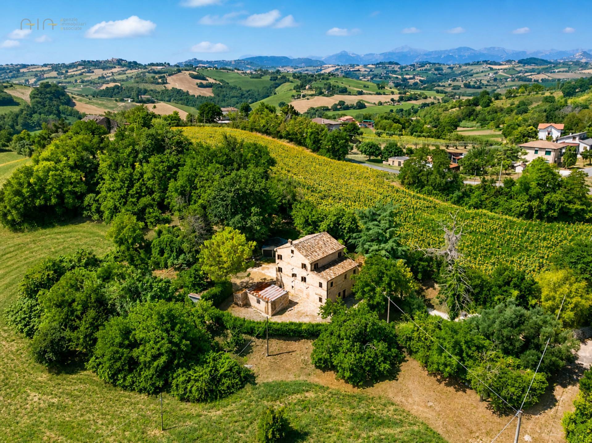 Casale Colonico Rustico in vendita a Belmonte Piceno, Collinare