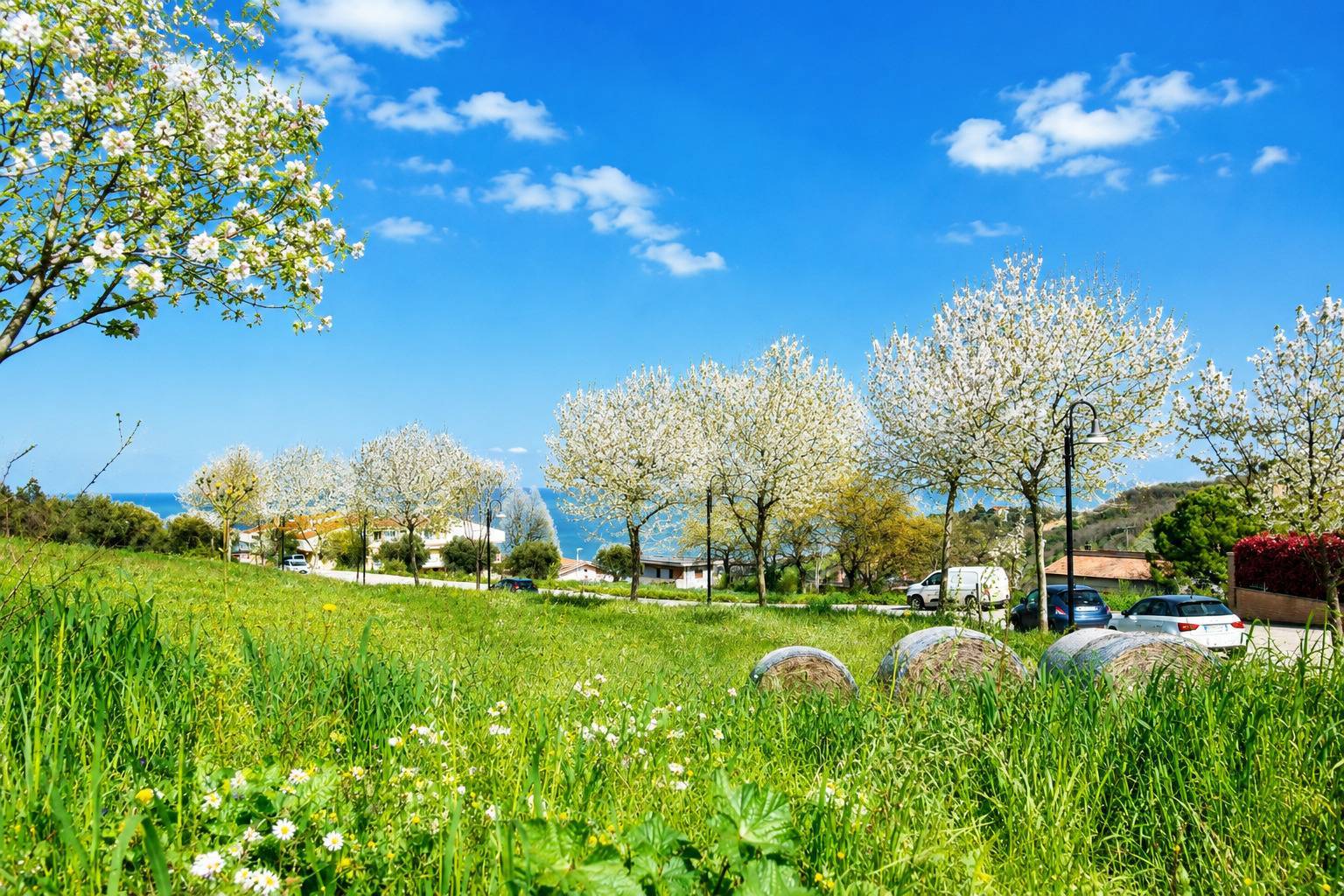Terreno Edificabile Residenziale in vendita a Tortoreto