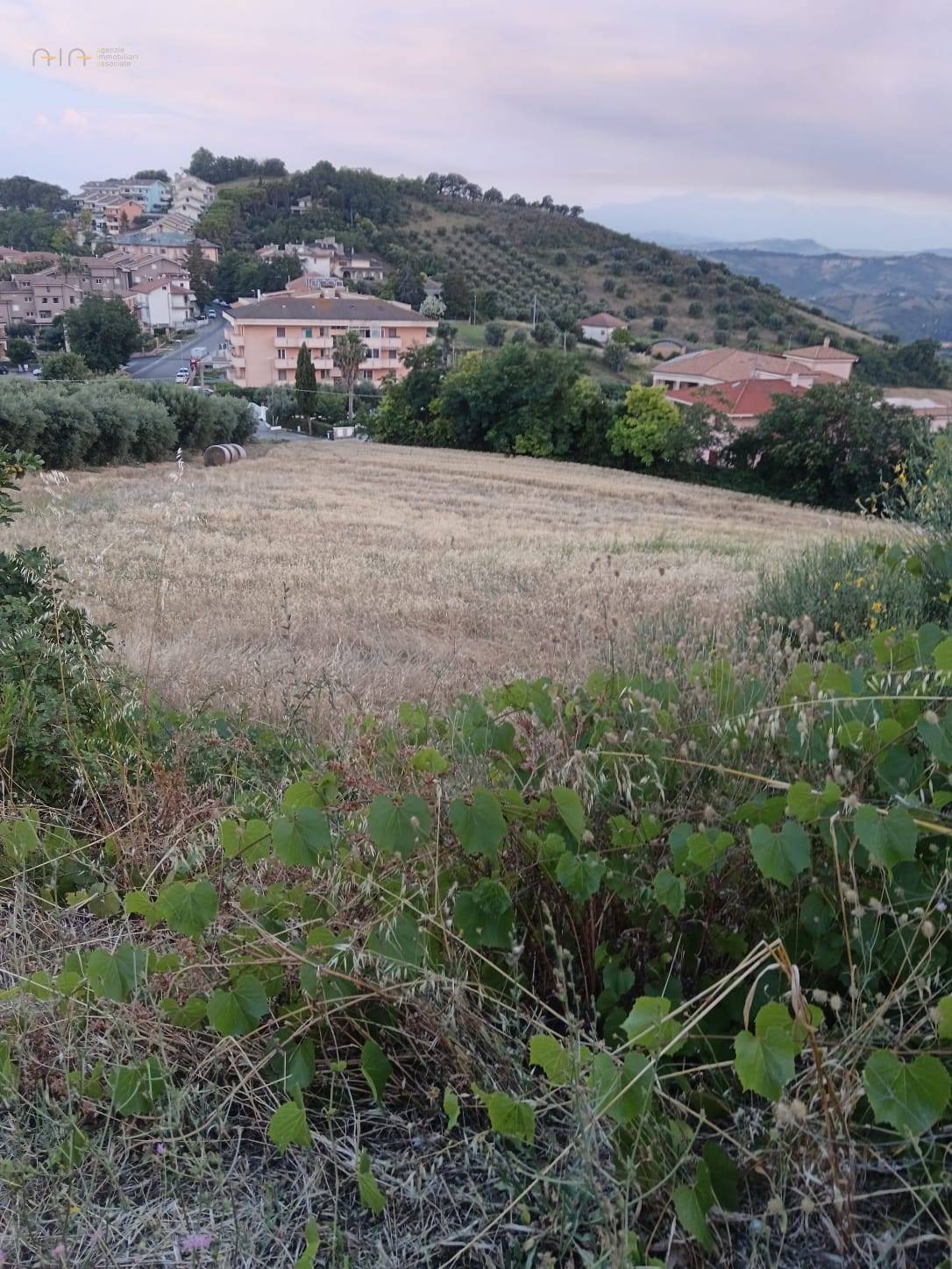 Terreno Agricolo in vendita a Tortoreto, Tortoreto Alto