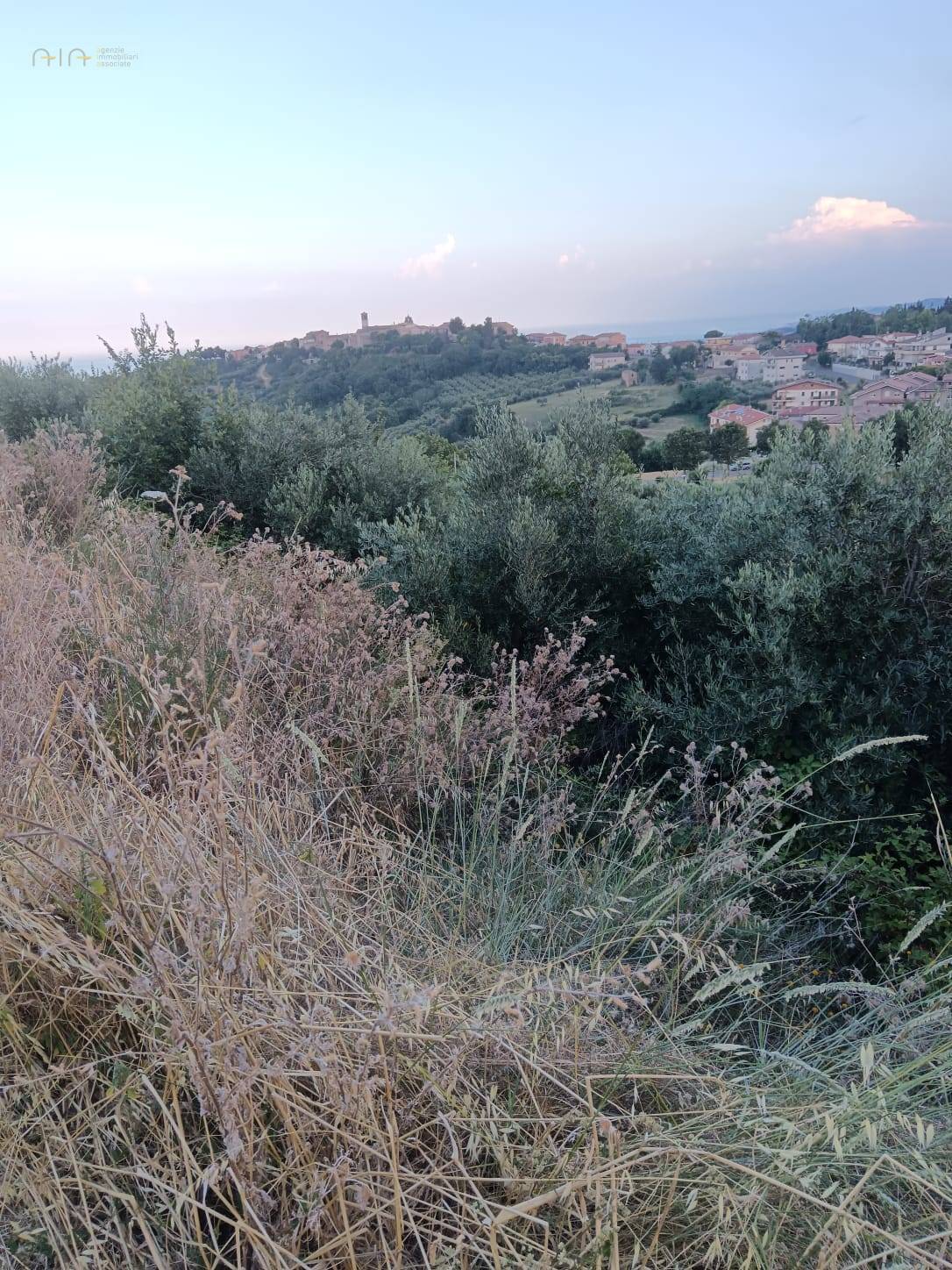 Terreno Agricolo in vendita a Tortoreto, Tortoreto Alto