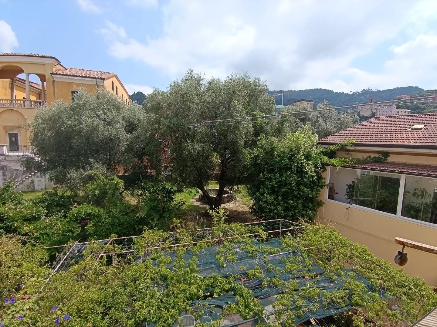Appartamento da ristrutturare, Massa centro