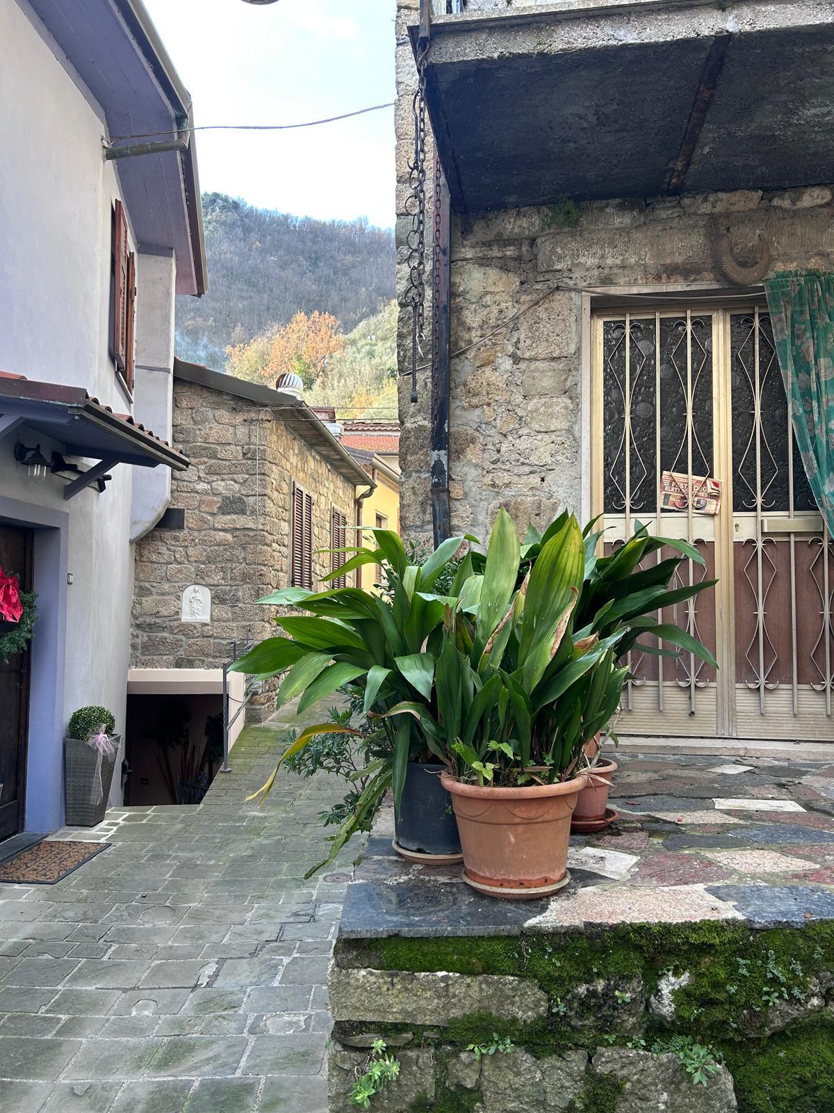 Casa indipendente in vendita, Fivizzano monzone alto