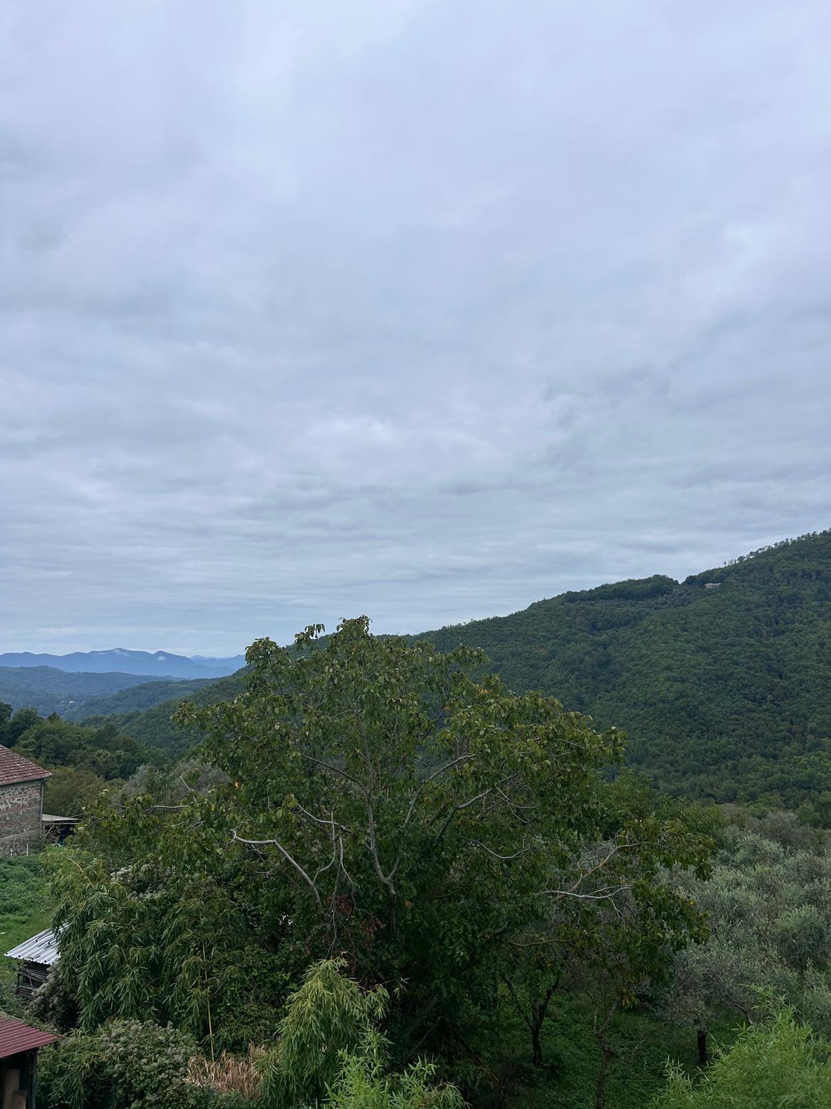 Trilocale in vendita, Casola in Lunigiana luscignano