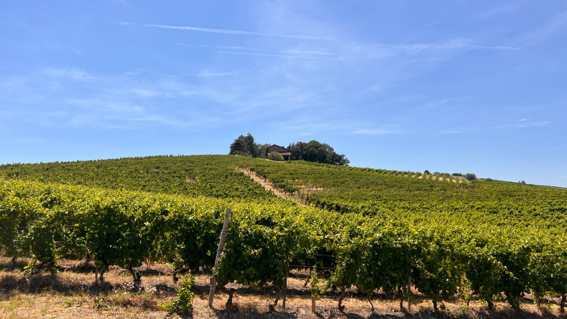 Cascina in vendita a Canelli, Canelli - Nizza Monferato