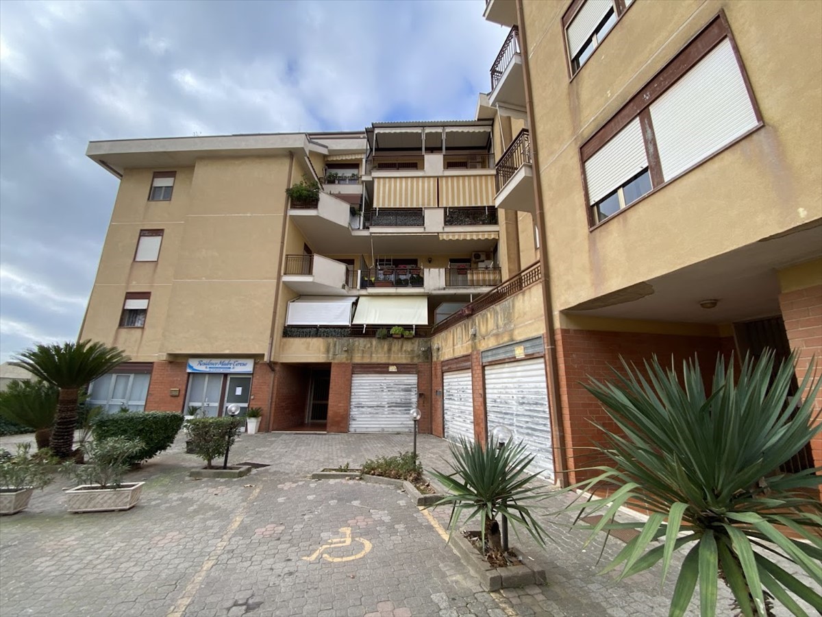 immagine annuncio 3 di 6