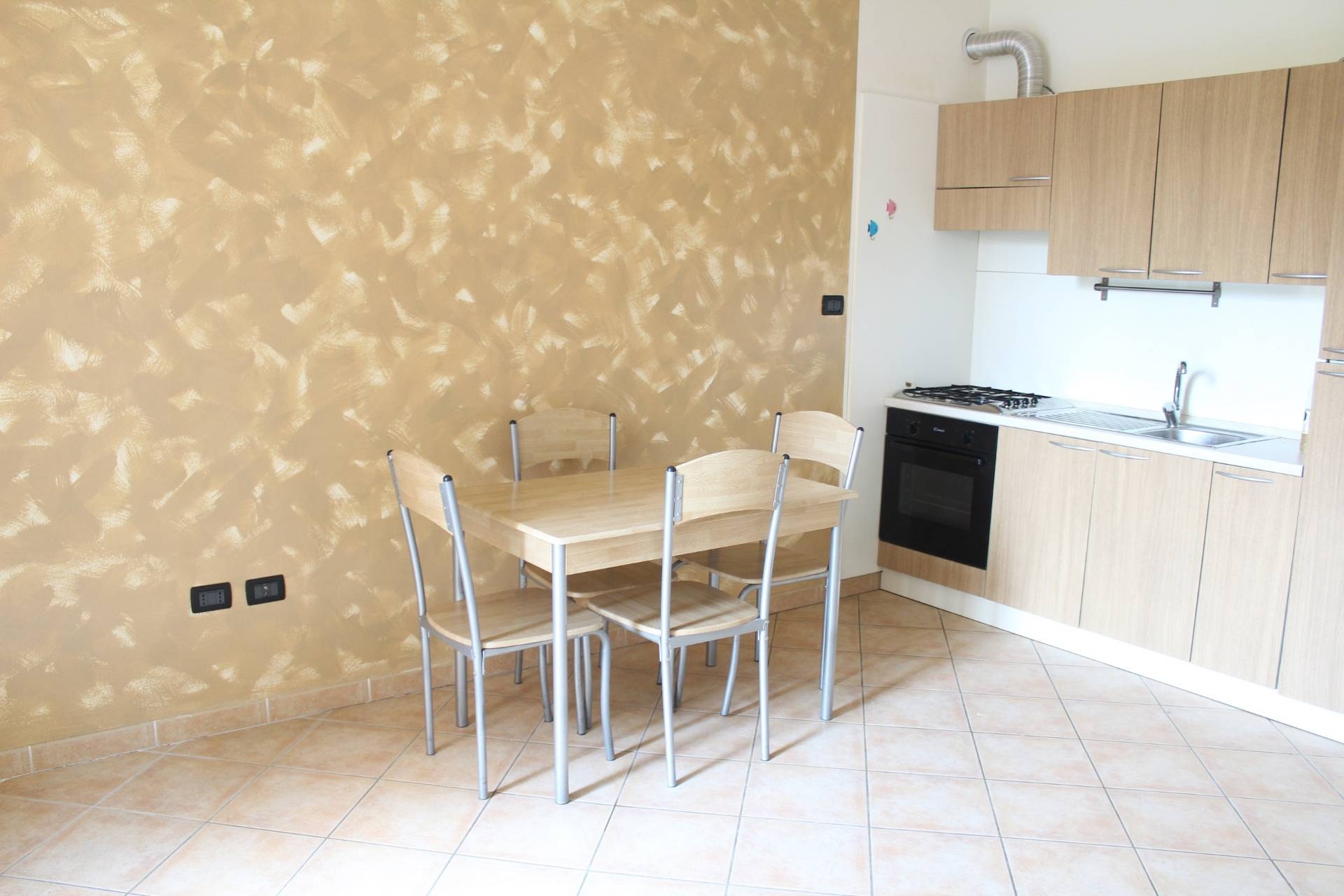 Appartamento in affitto a Argenta, CENTRO