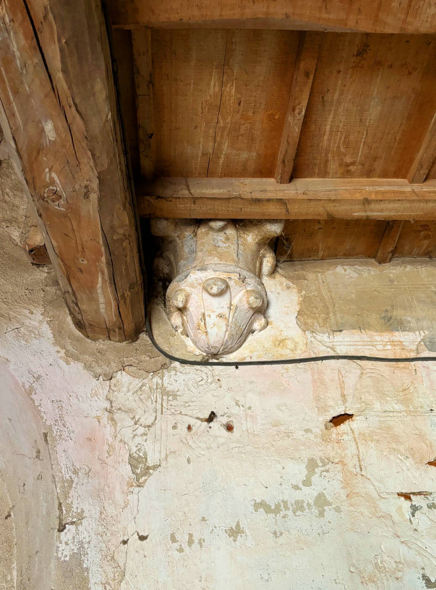 Rustico/Casale/Corte in vendita a Corteolona e Genzone