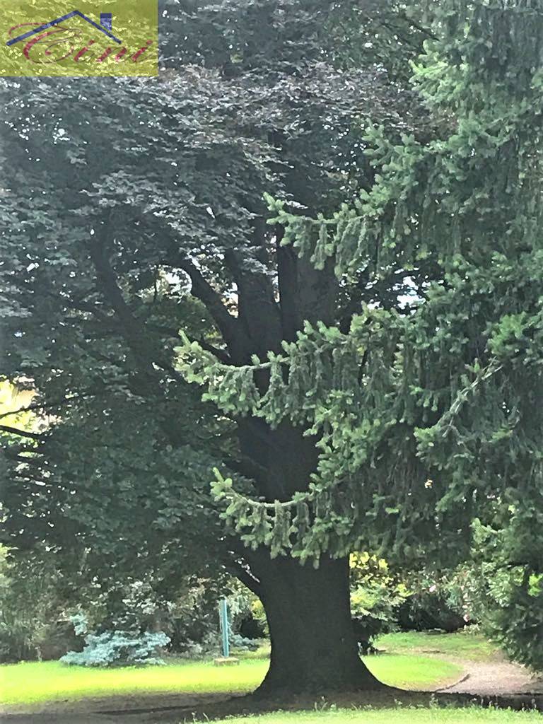 VILLA SINGOLA in vendita a Mandello del Lario