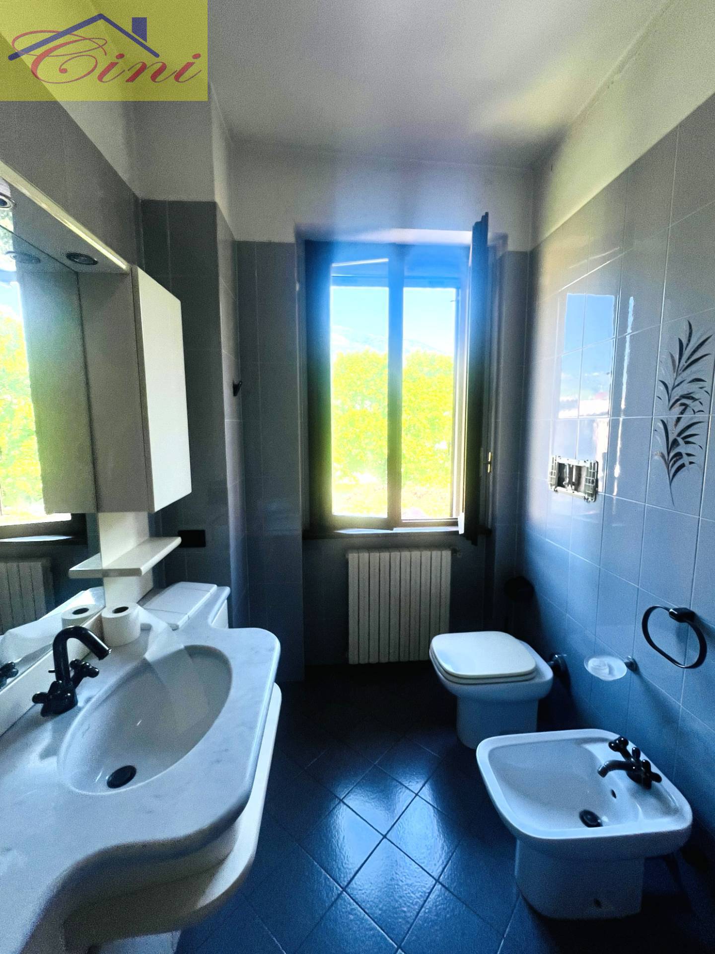 VILLA SINGOLA in vendita a Eupilio