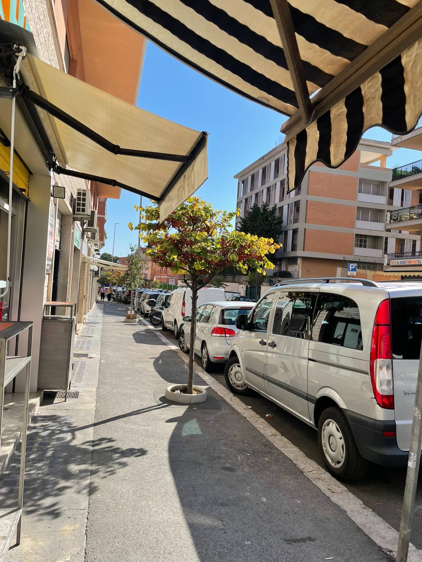 immagine annuncio 2 di 6