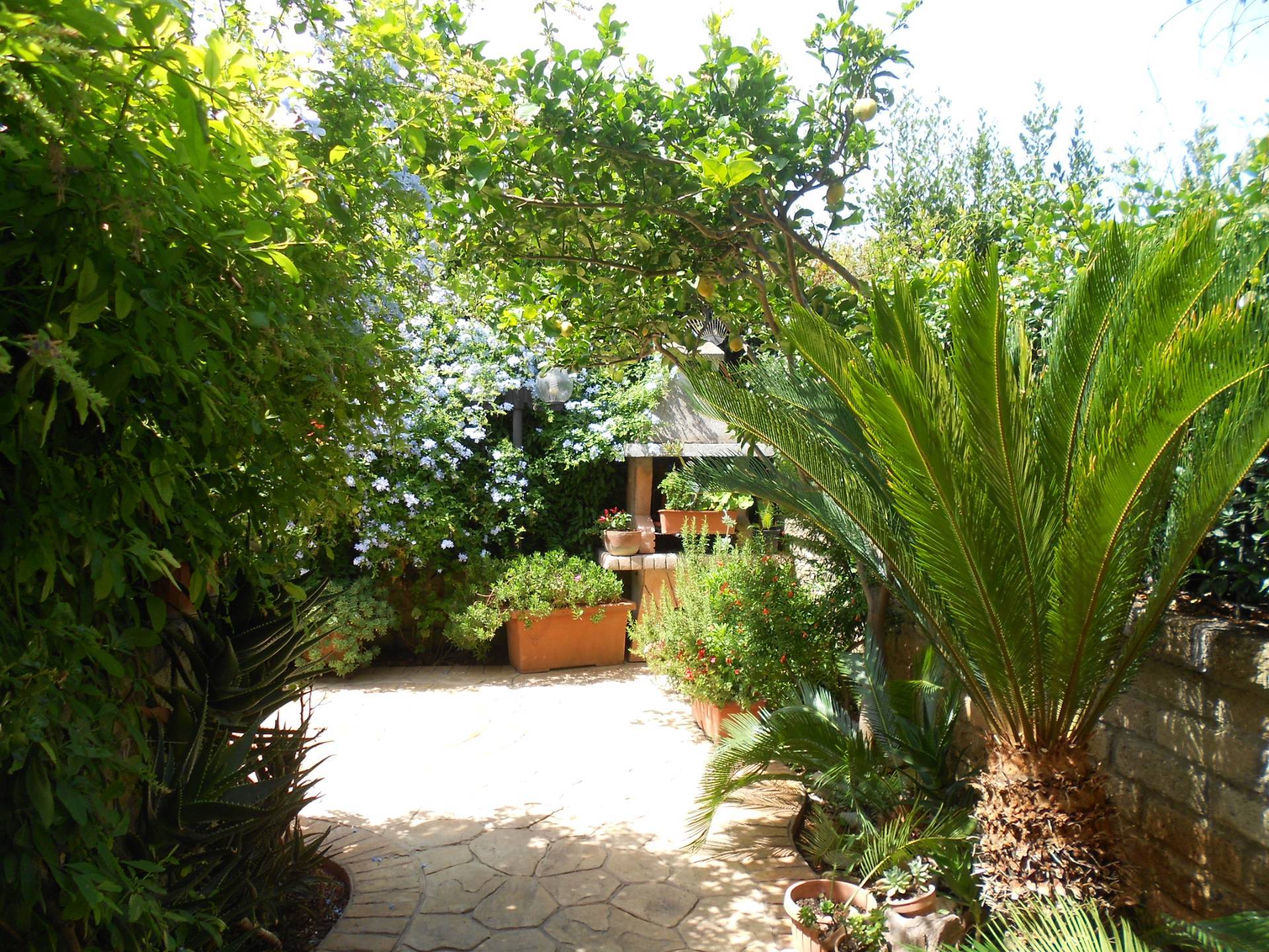 Villette a schiera in vendita a Cerveteri