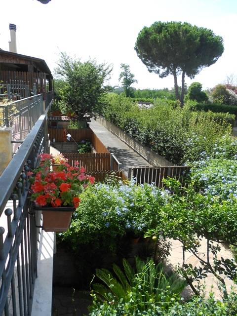 Villette a schiera in vendita a Cerveteri