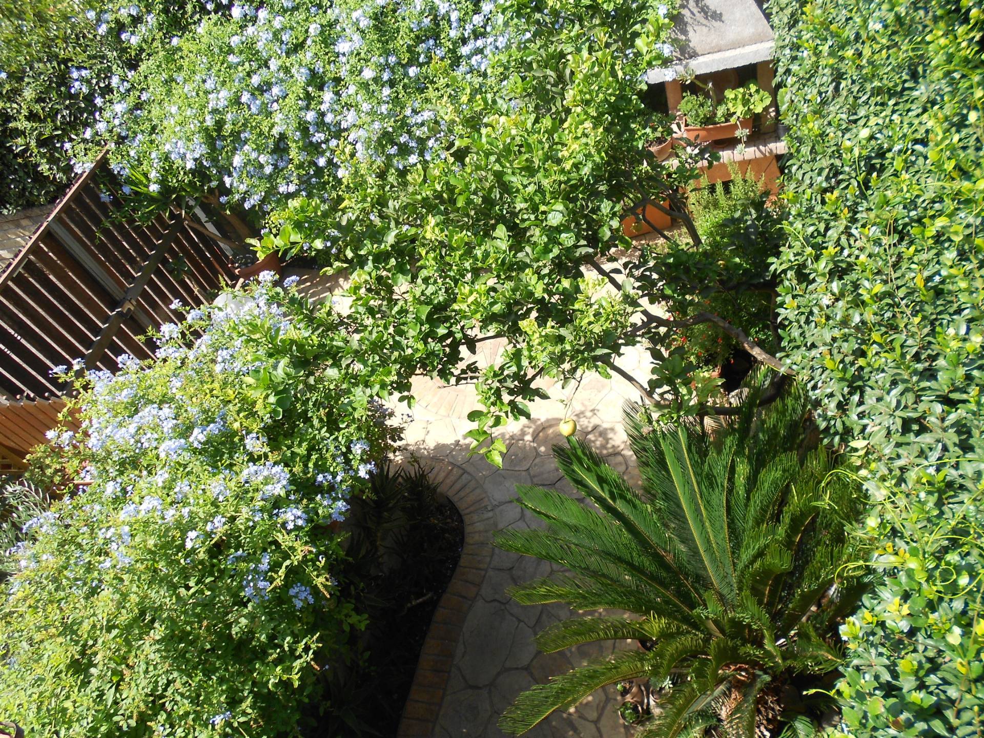 Villette a schiera in vendita a Cerveteri