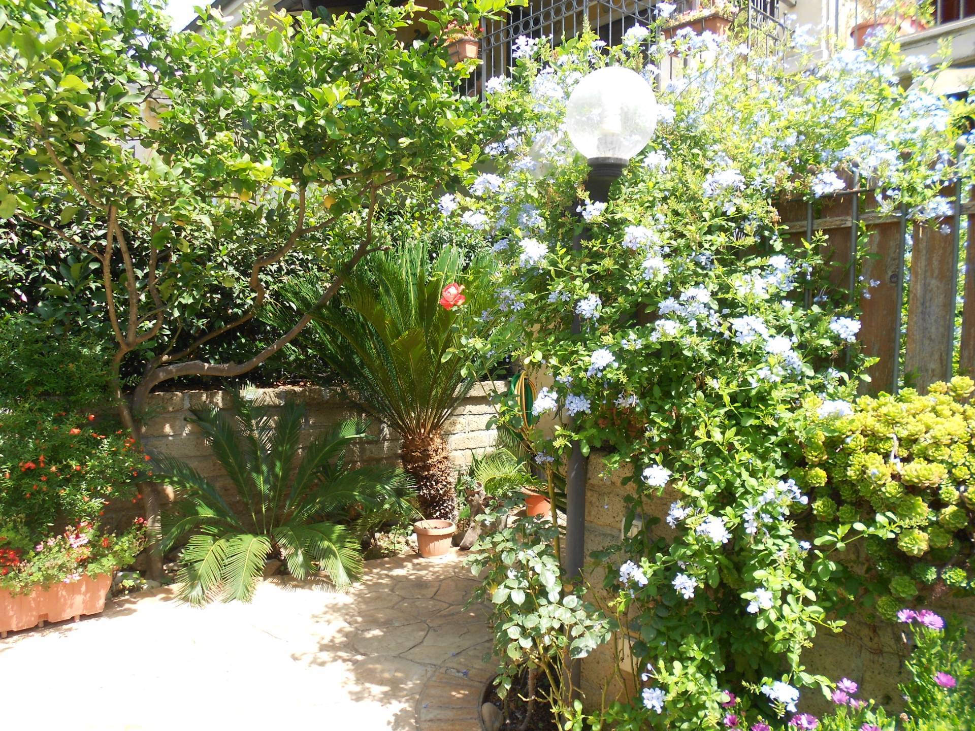 Villette a schiera in vendita a Cerveteri