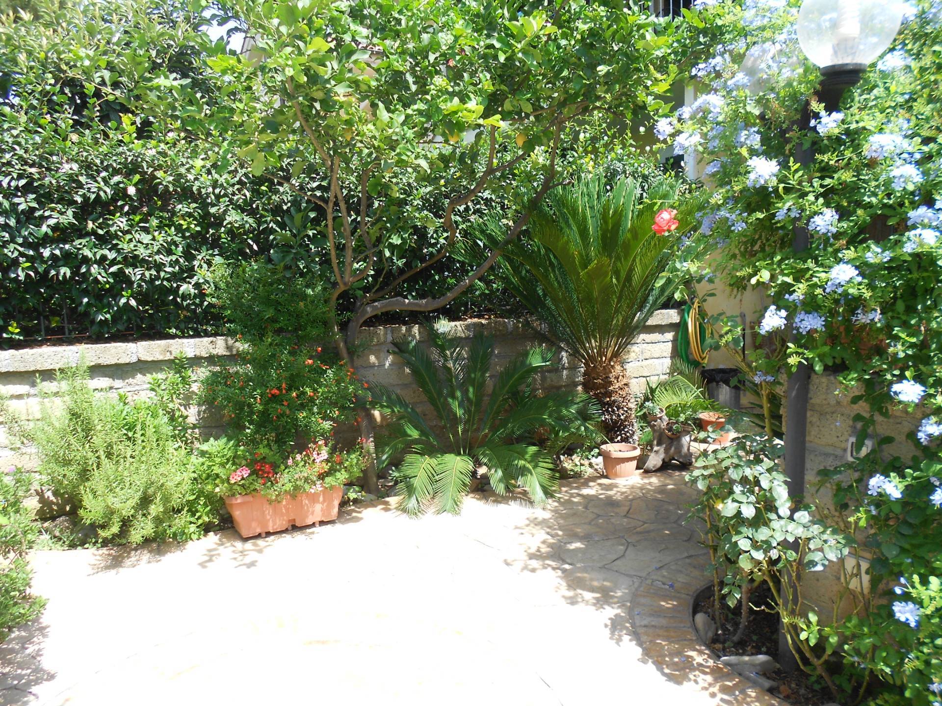 Villette a schiera in vendita a Cerveteri