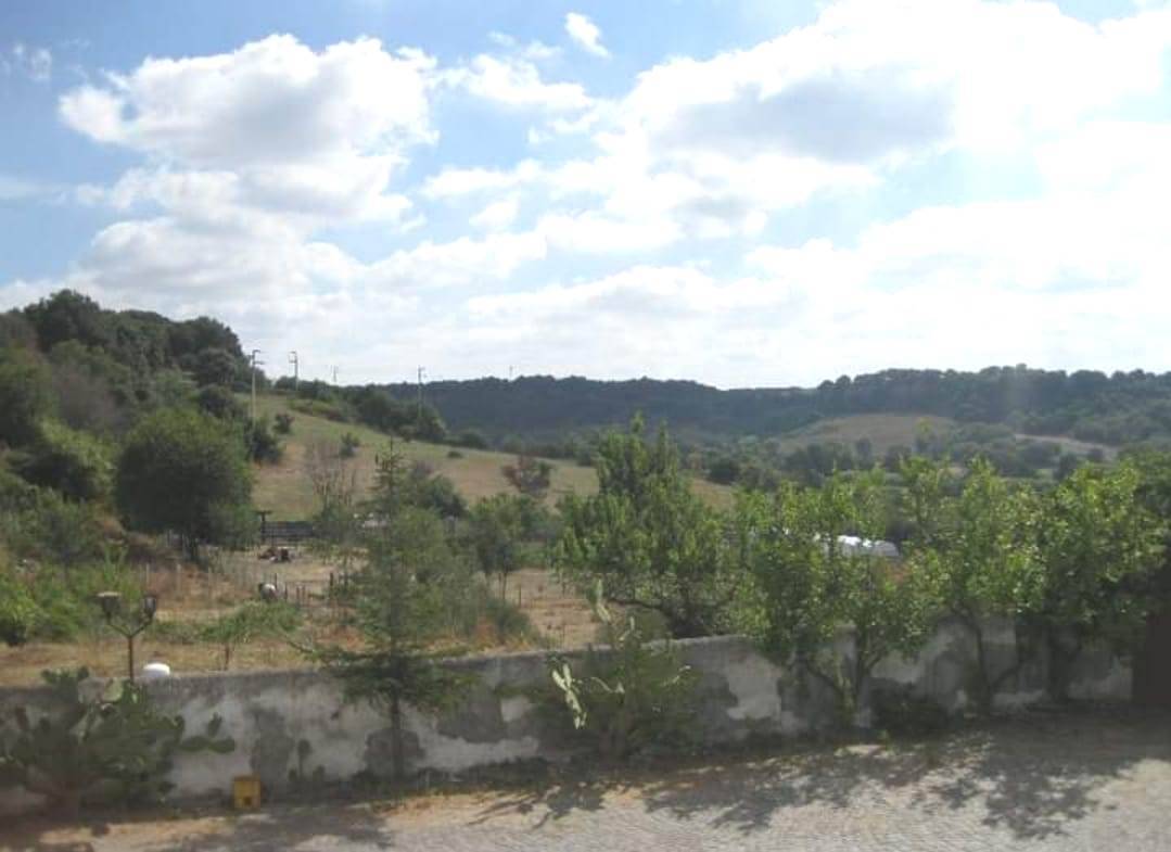 Attivit commerciale in vendita a Cerveteri