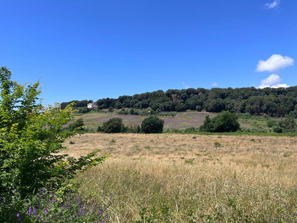 Rustico in vendita a Cerveteri