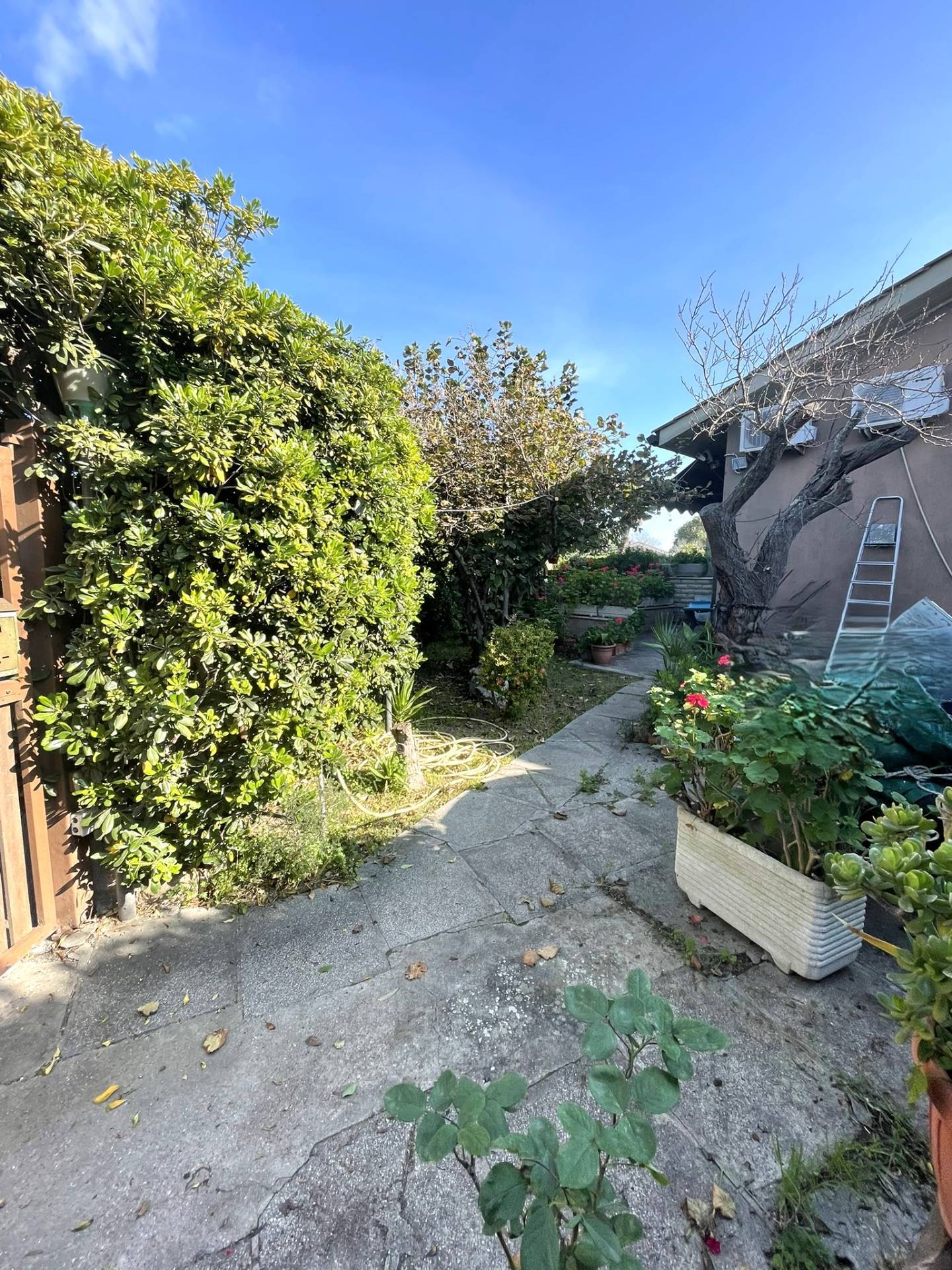 Villette a schiera in vendita a Cerveteri