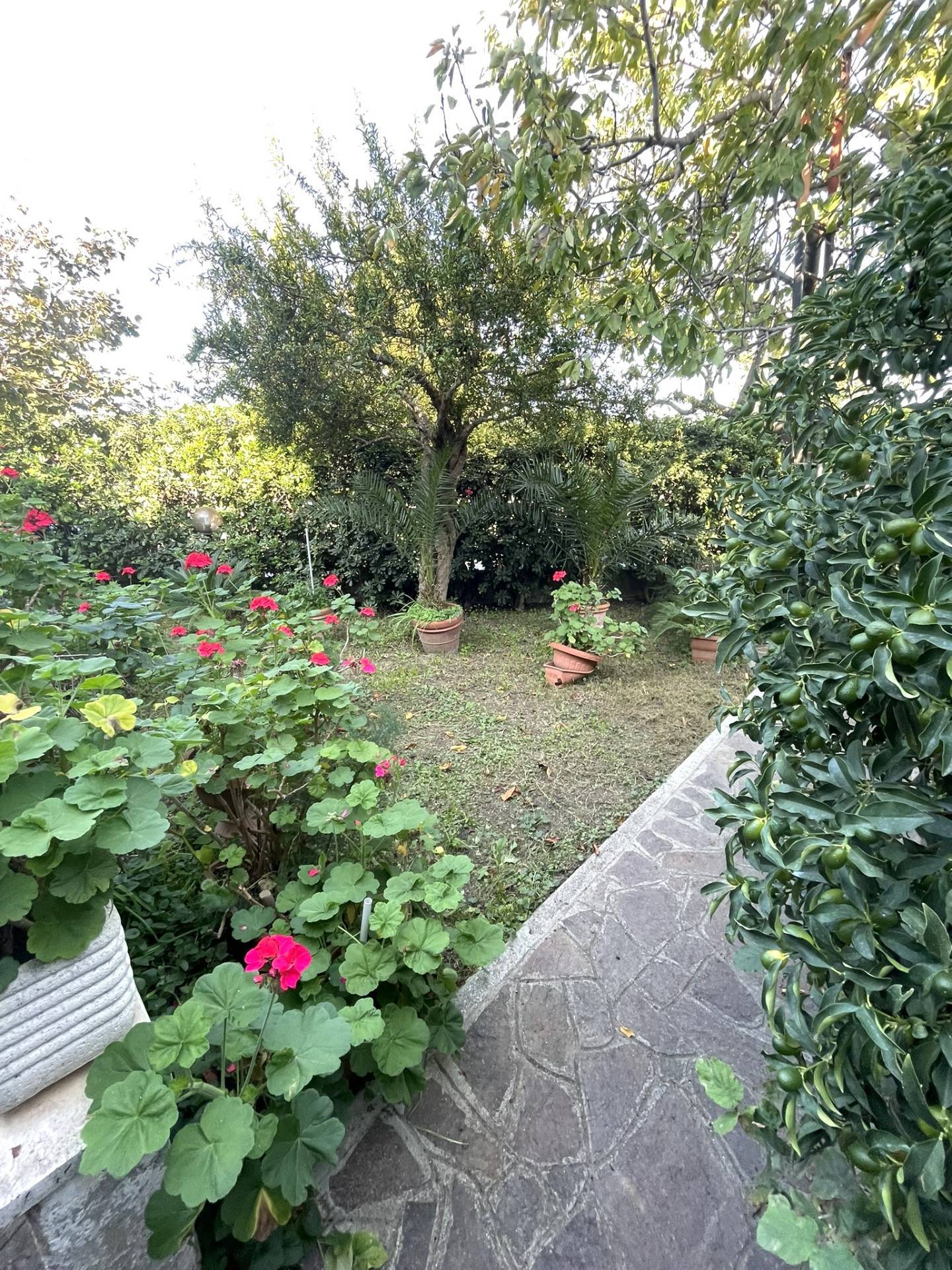 Villette a schiera in vendita a Cerveteri