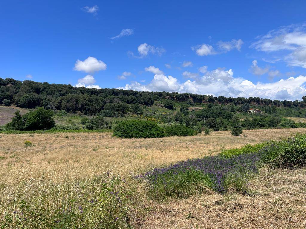 Rustico in vendita a Cerveteri