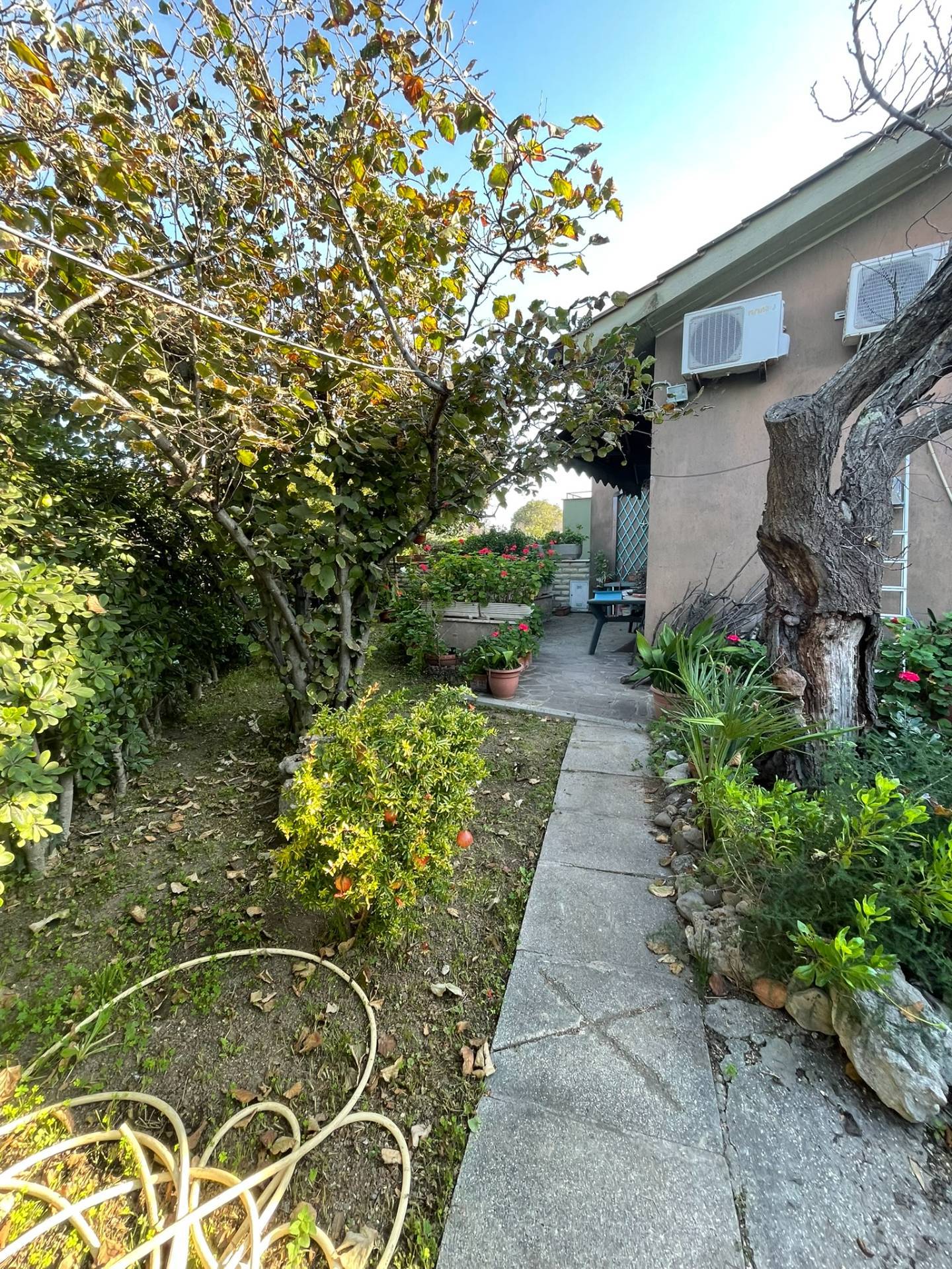 Villette a schiera in vendita a Cerveteri