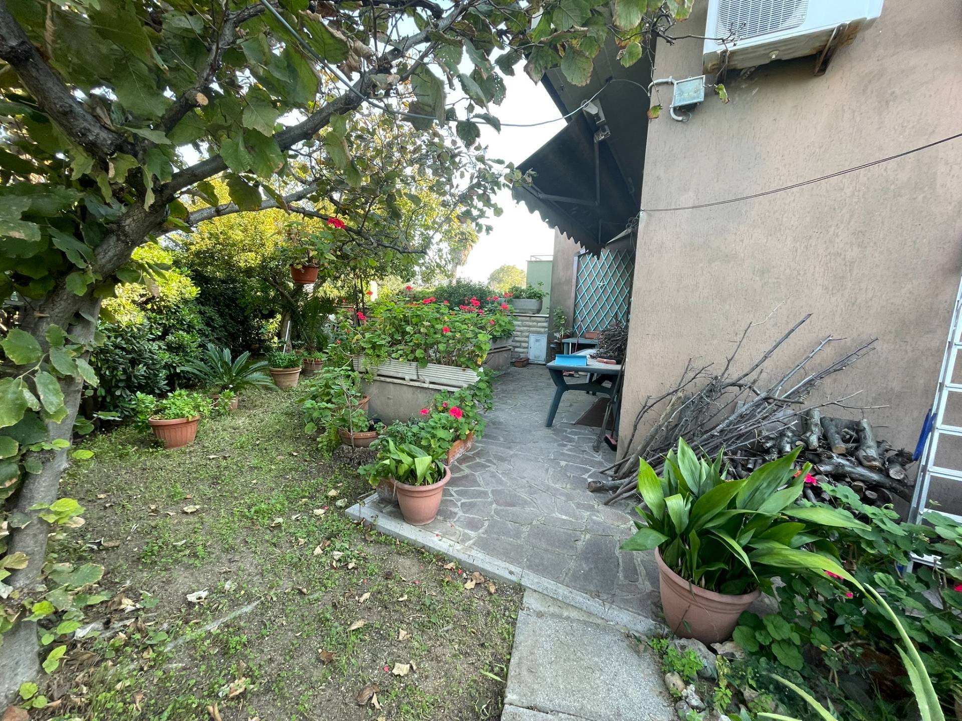 Villette a schiera in vendita a Cerveteri