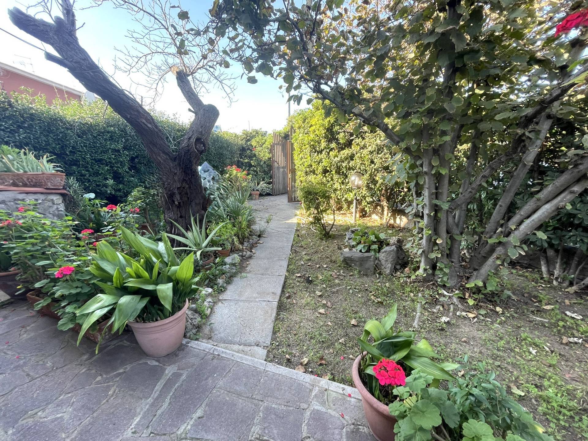 Villette a schiera in vendita a Cerveteri