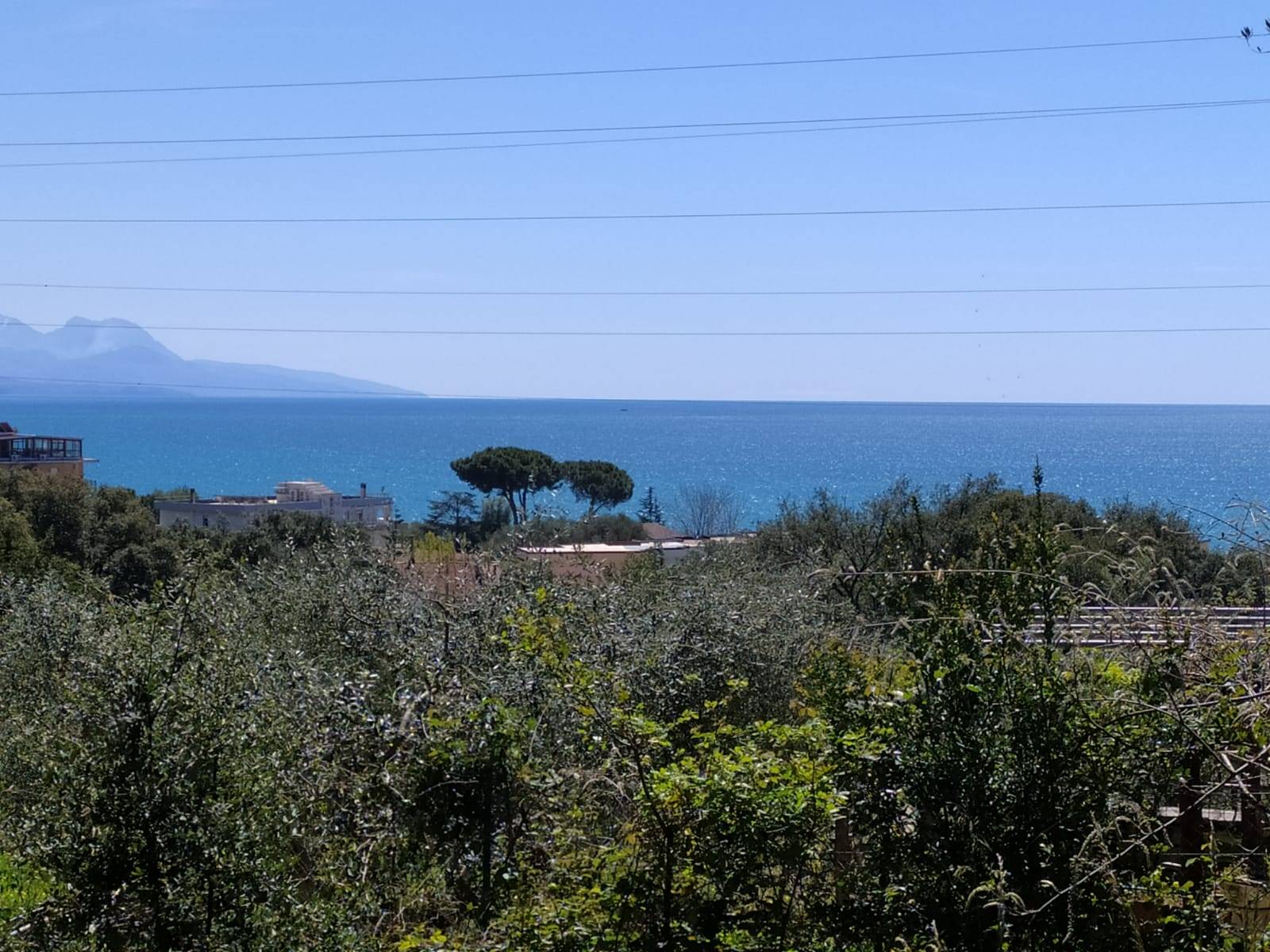 Terreno vista mare, Vibonati villamare