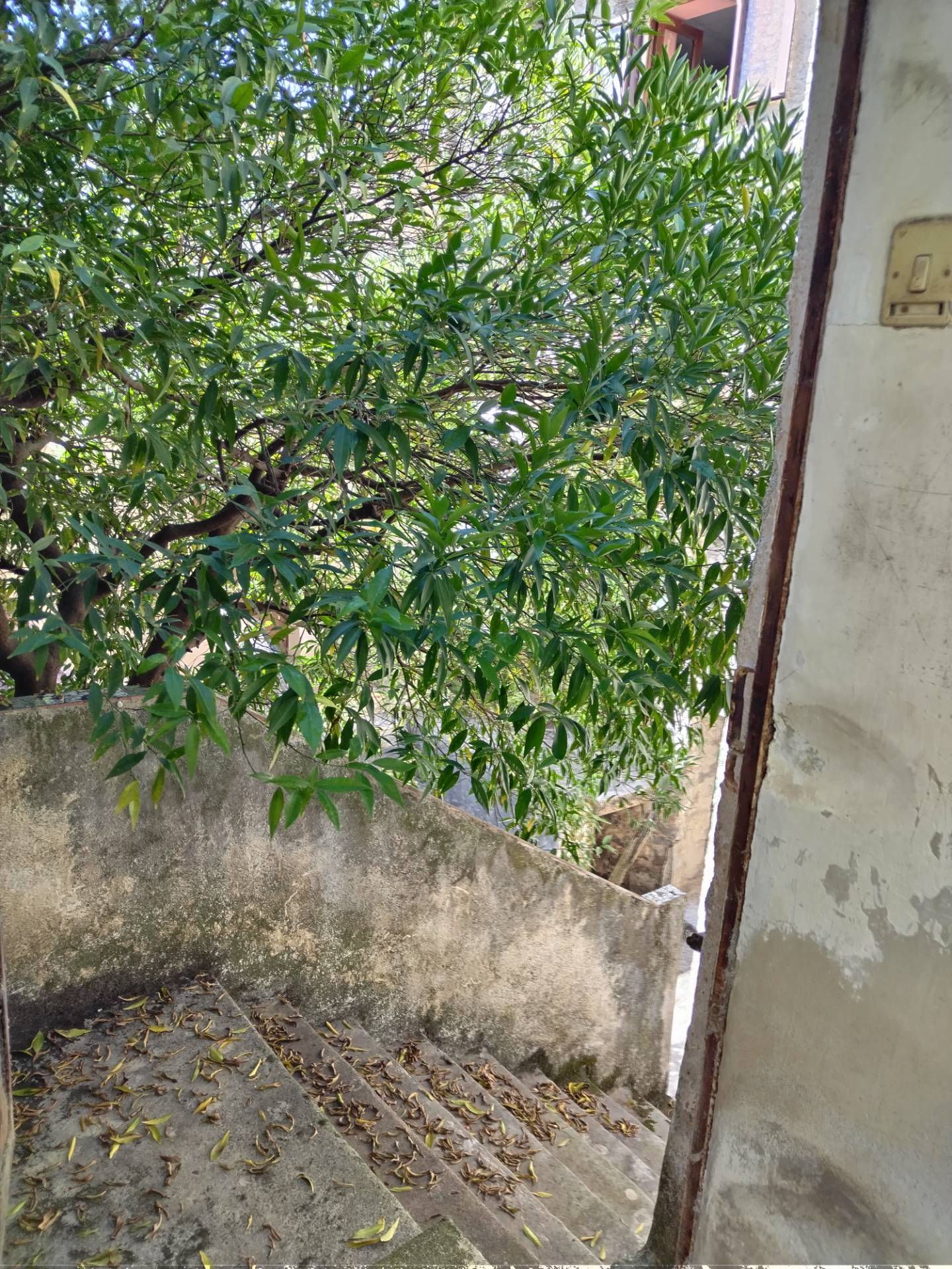 Appartamento indipendente in vendita a Roccagloriosa